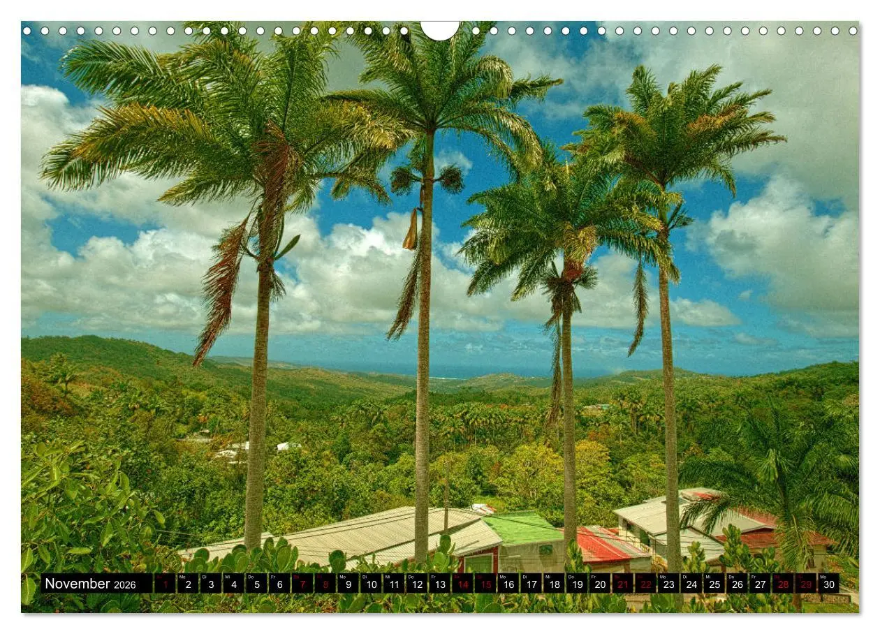 Bild: 9783457809273 | Barbados (Wandkalender 2026 DIN A3 quer), CALVENDO Monatskalender