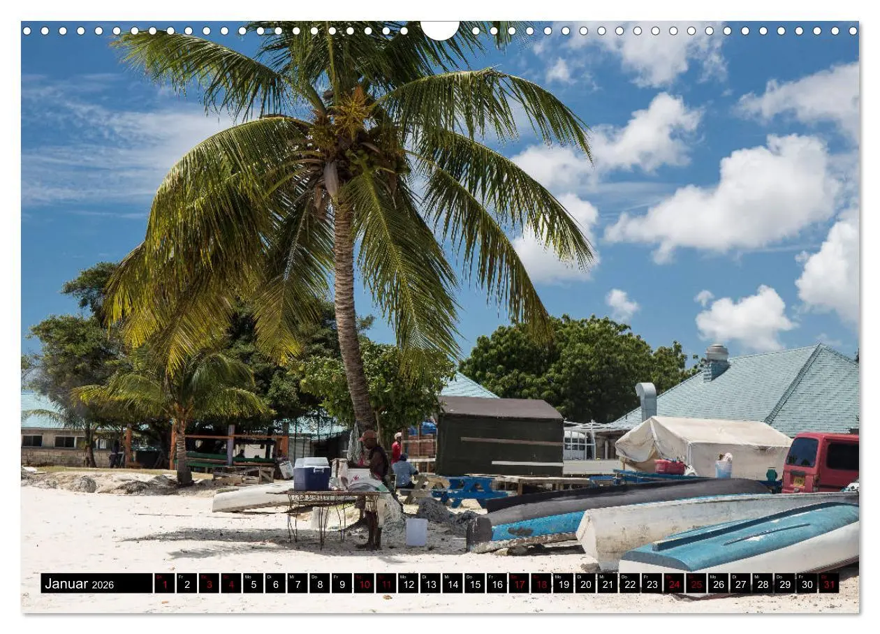 Bild: 9783457809273 | Barbados (Wandkalender 2026 DIN A3 quer), CALVENDO Monatskalender