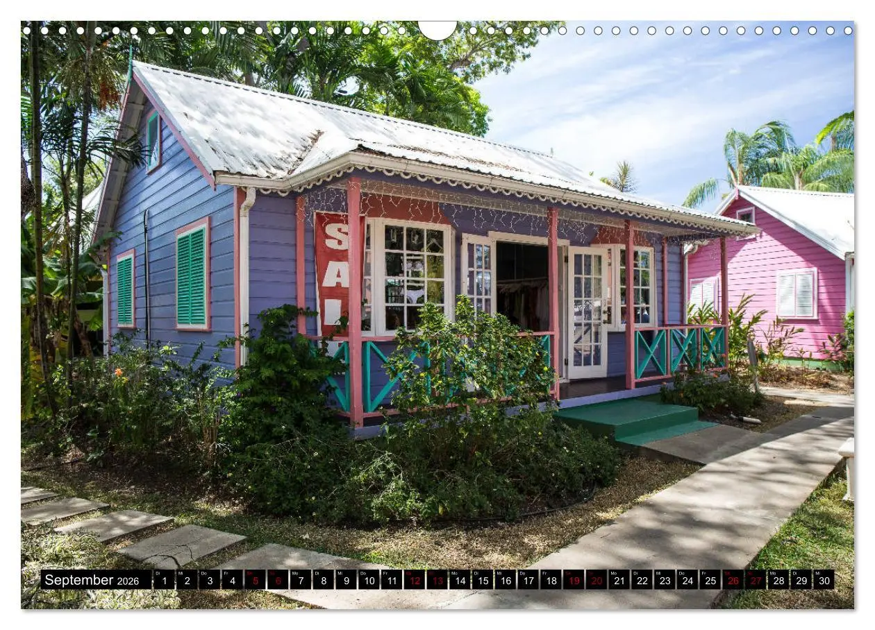 Bild: 9783457809273 | Barbados (Wandkalender 2026 DIN A3 quer), CALVENDO Monatskalender