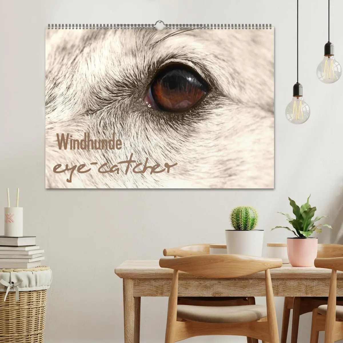 Bild: 9783457979273 | Windhunde eye-catcher (Wandkalender 2026 DIN A2 quer), CALVENDO...