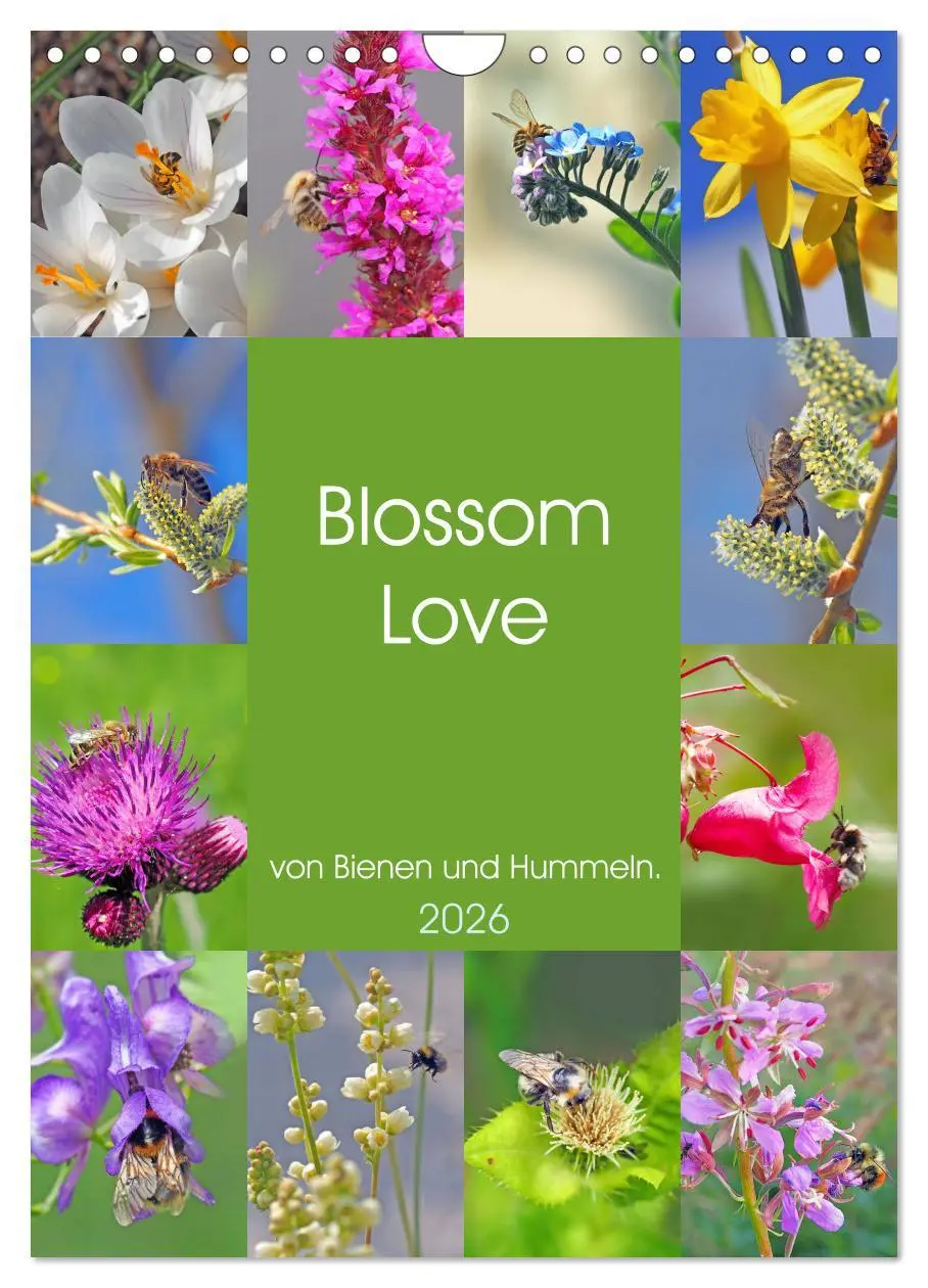 Cover: 9783516379273 | Blossom Love, von Bienen und Hummeln (Wandkalender 2026 DIN A4...