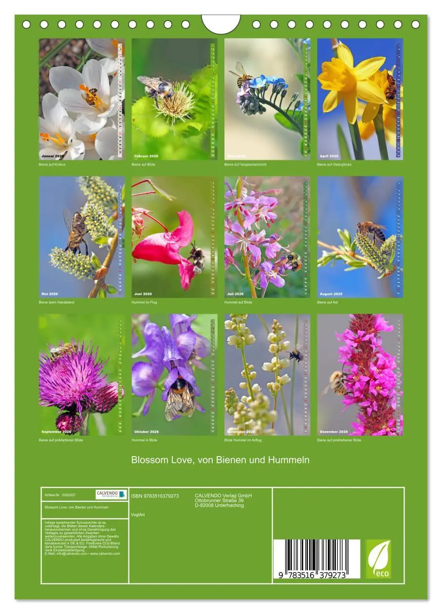 Bild: 9783516379273 | Blossom Love, von Bienen und Hummeln (Wandkalender 2026 DIN A4...