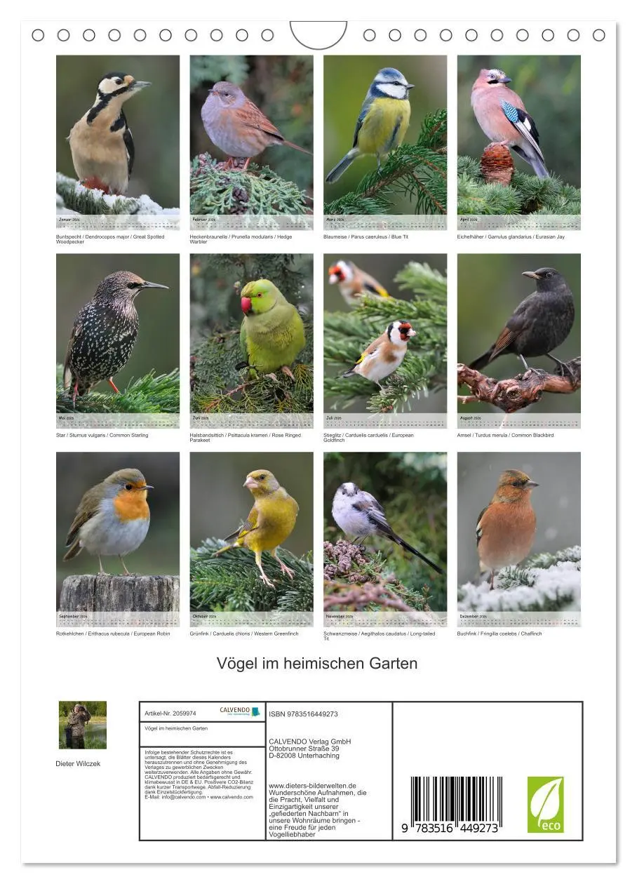 Bild: 9783516449273 | Vögel im heimischen Garten (Wandkalender 2026 DIN A4 hoch),...