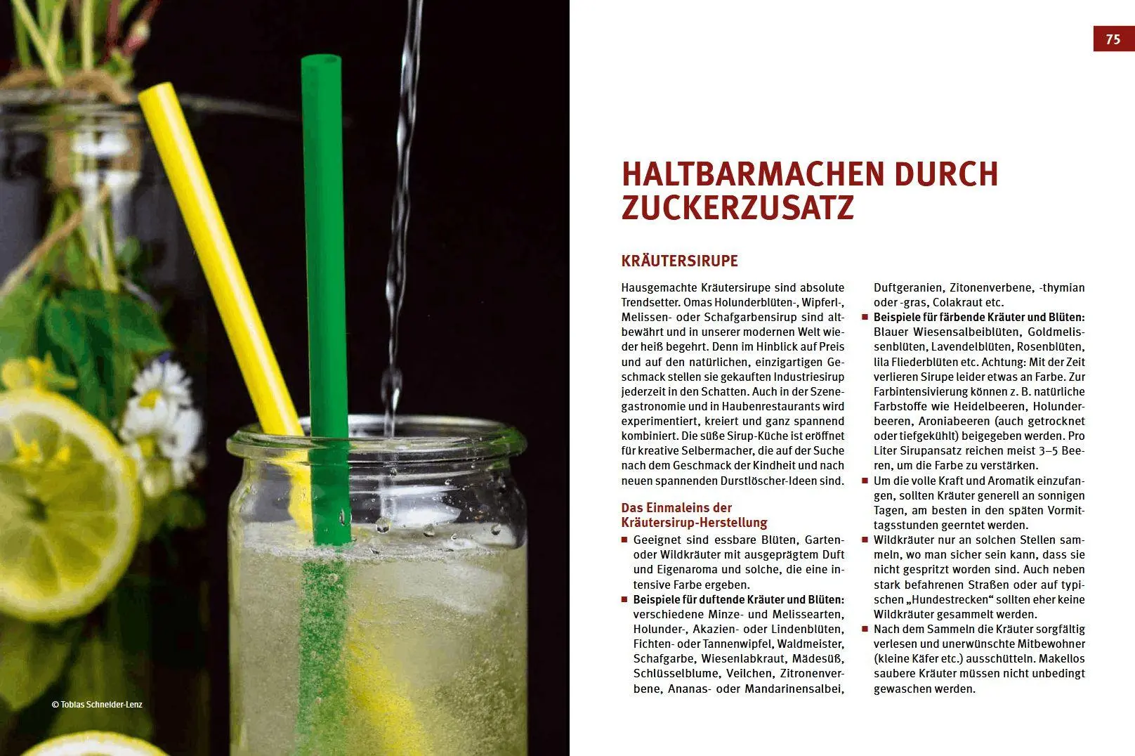 Bild: 9783702019273 | Haltbar machen | Gemüse, Kräuter, Pilze ... | Obermair (u. a.) | Buch