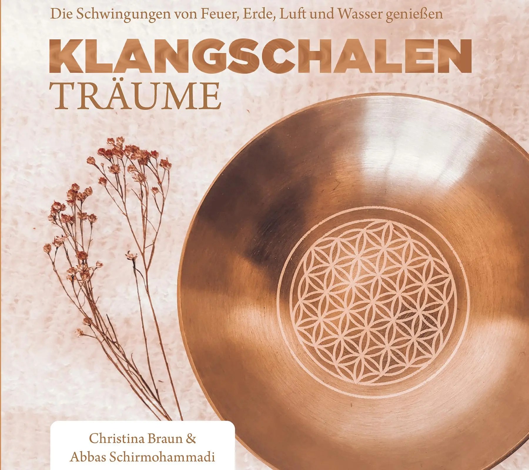 Cover: 9783956319273 | Klangschalen-Träume | Christina Braun (u. a.) | Audio-CD | 62 Min.