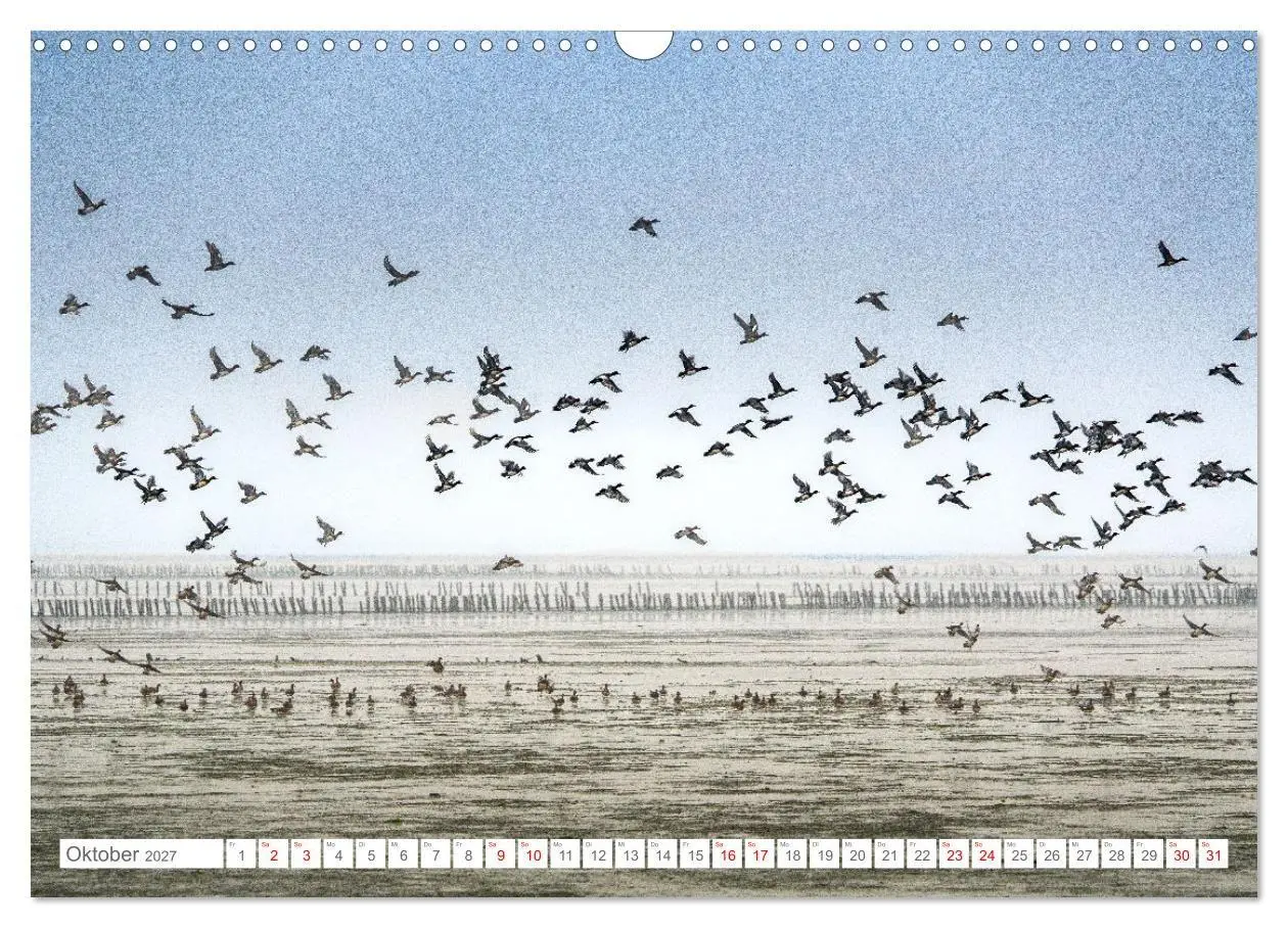 Bild: 9783569219373 | Naturerlebnis Rømø (Wandkalender 2027 DIN A3 quer), CALVENDO...