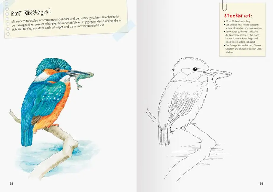 Bild: 9783473489473 | Mein großes Natur-Malbuch | Christina Berens | Taschenbuch | 96 S.
