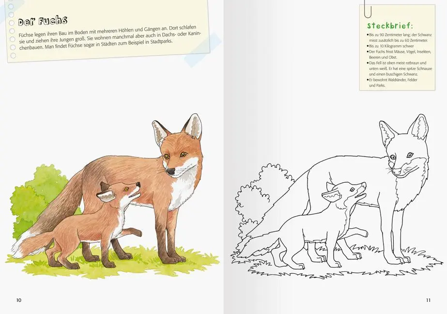 Bild: 9783473489473 | Mein großes Natur-Malbuch | Christina Berens | Taschenbuch | 96 S.