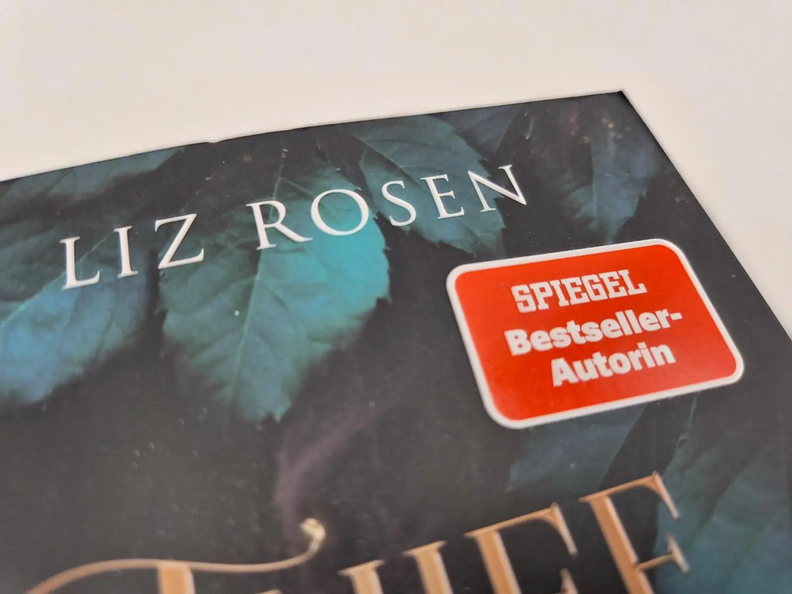 Bild: 9783492509473 | Thief of Hearts - Liebe ist Verrat | Liz Rosen | Taschenbuch | 384 S.