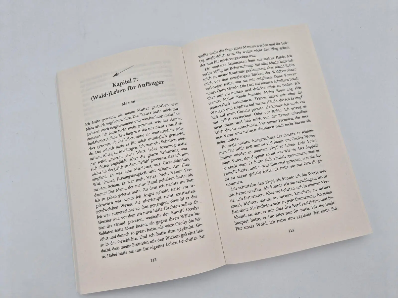 Bild: 9783492509473 | Thief of Hearts - Liebe ist Verrat | Liz Rosen | Taschenbuch | 384 S.