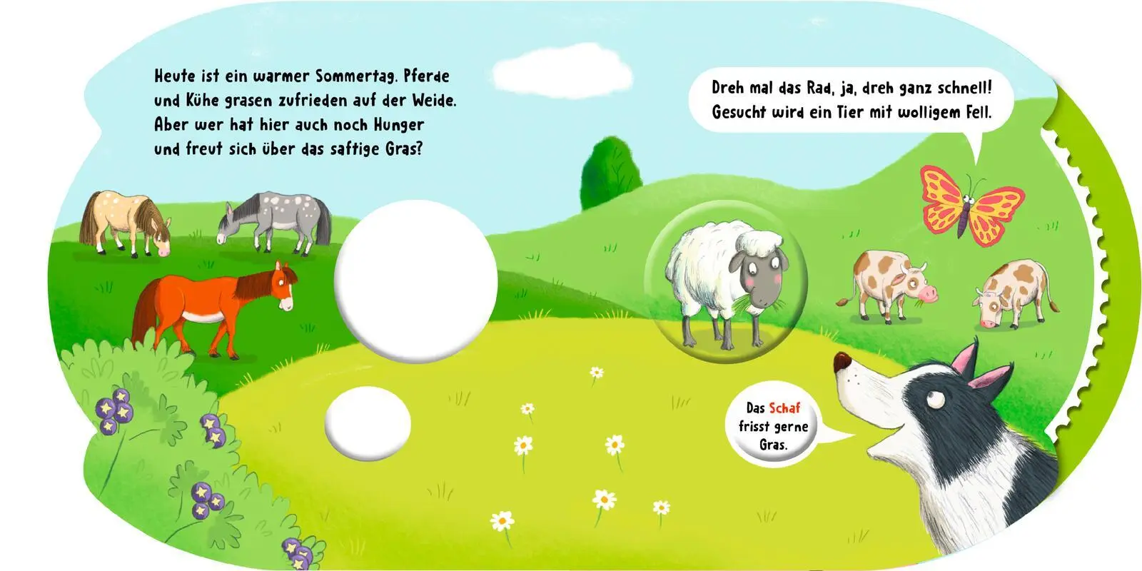 Bild: 9783480239573 | Dreh das Rad und find´s heraus!: Welches Tier frisst denn hier? | Kiel
