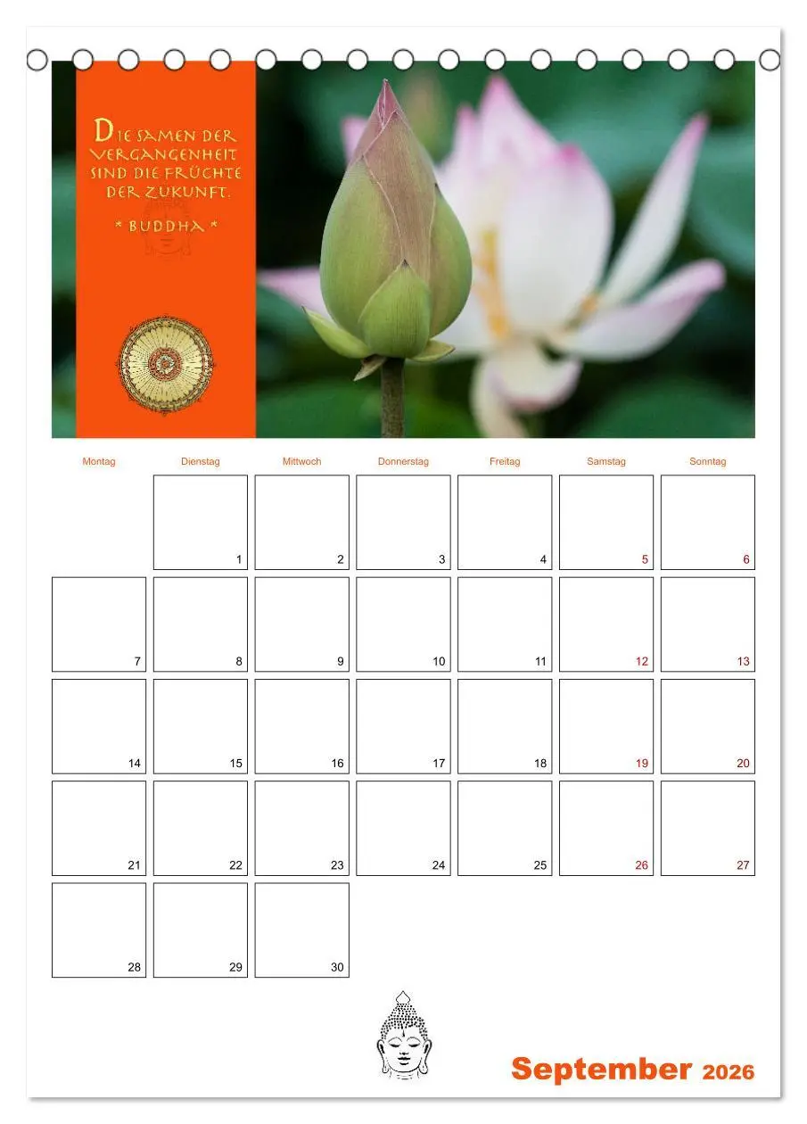 Bild: 9783516319873 | Buddhas Zitate und Weisheiten (Tischkalender 2026 DIN A5 hoch),...