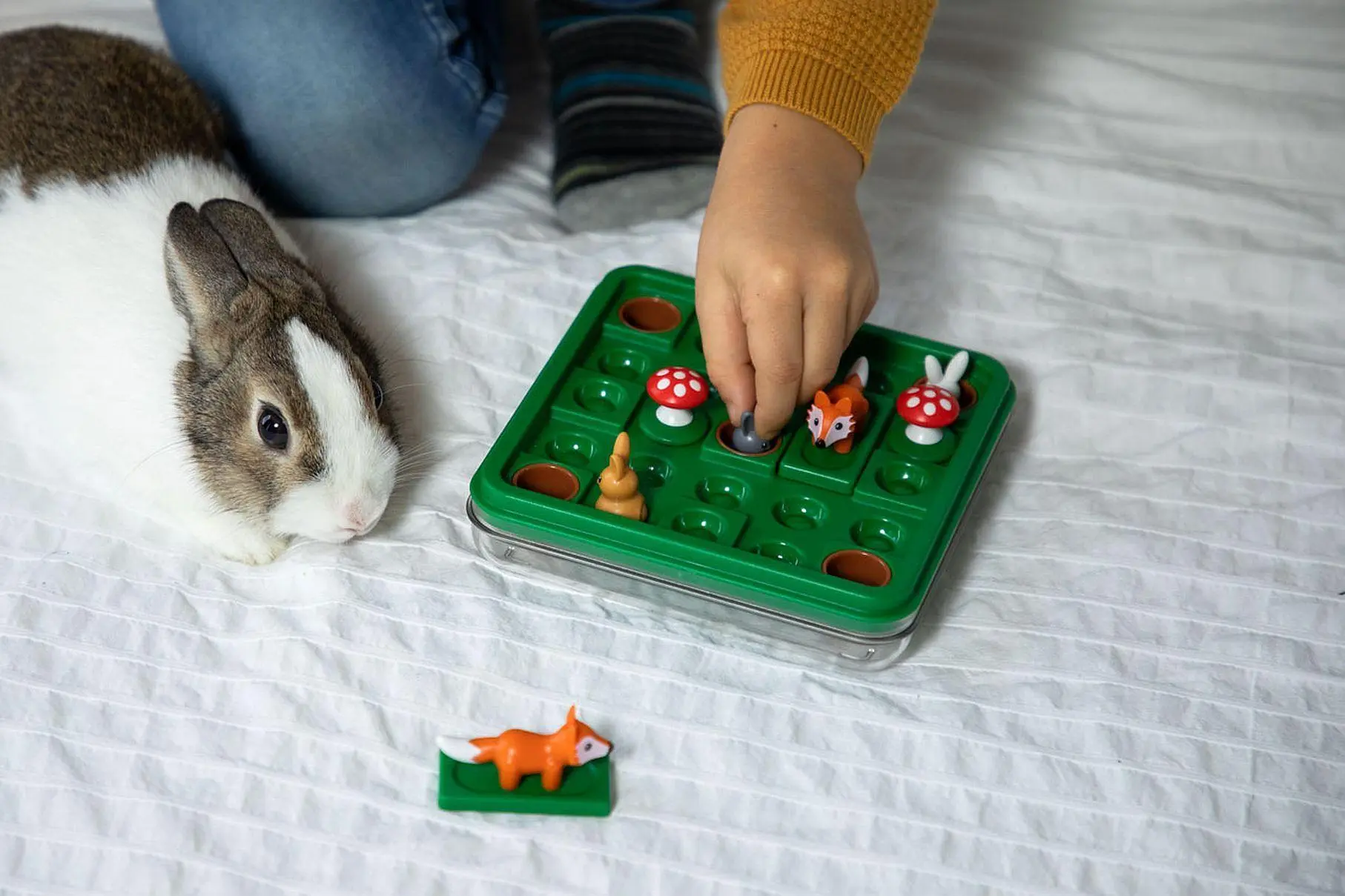 Bild: 5414301519973 | So hüpft der Hase | Spiel | SG421DE | Deutsch | 2017