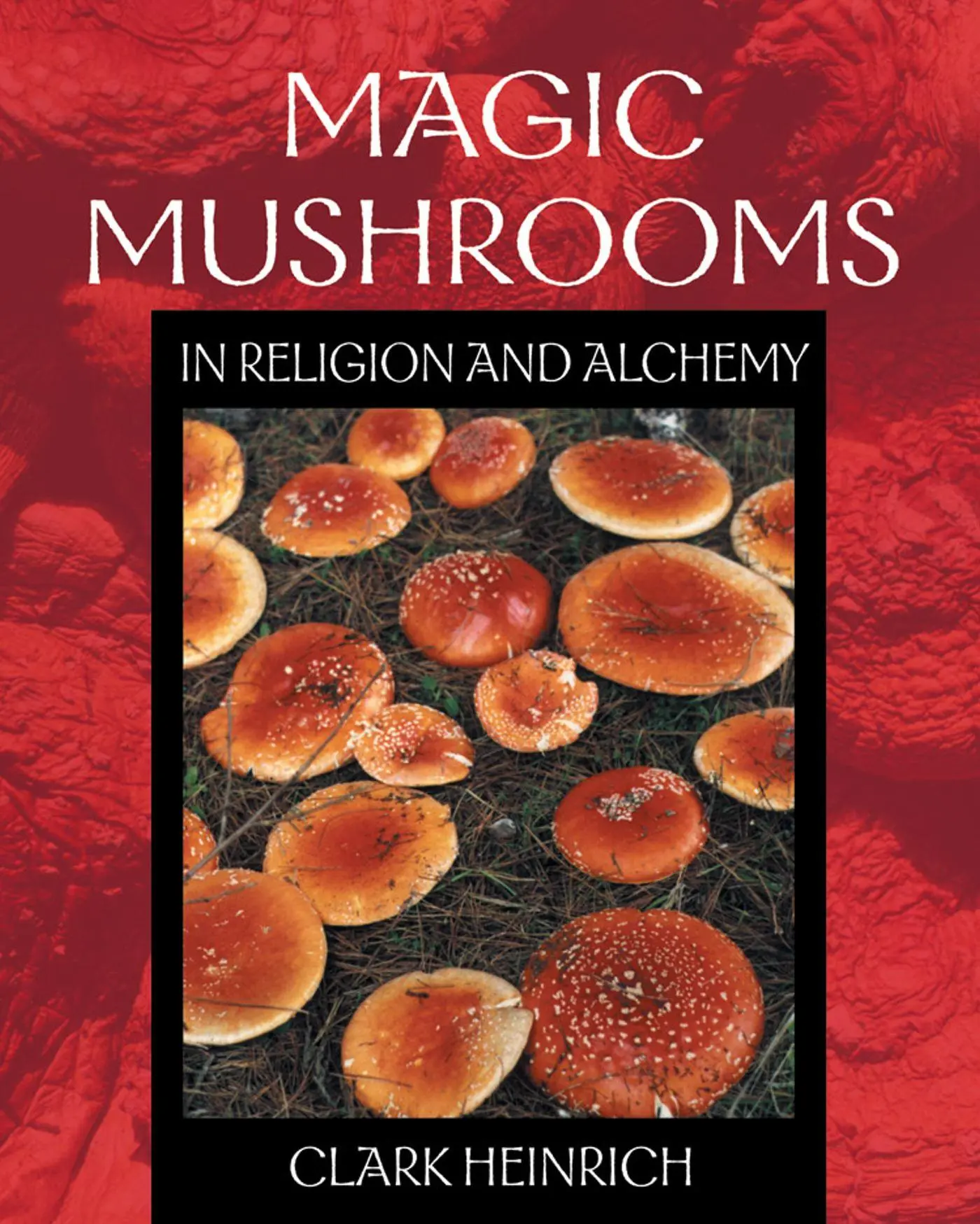Cover: 9780892819973 | Magic Mushrooms in Religion and Alchemy | Clark Heinrich | Taschenbuch