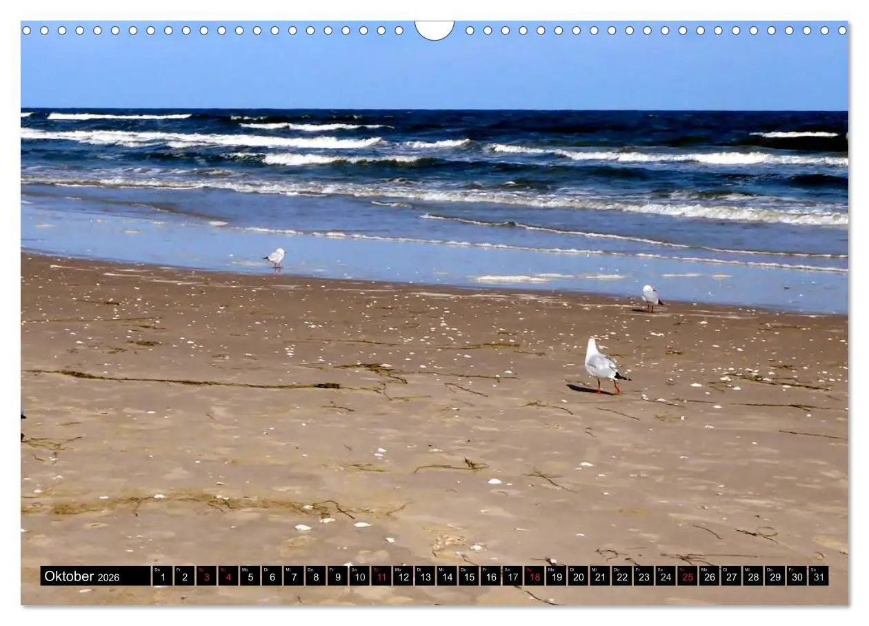 Bild: 9783516099973 | USEDOM - Seebäder und Naturparadies (Wandkalender 2026 DIN A3...