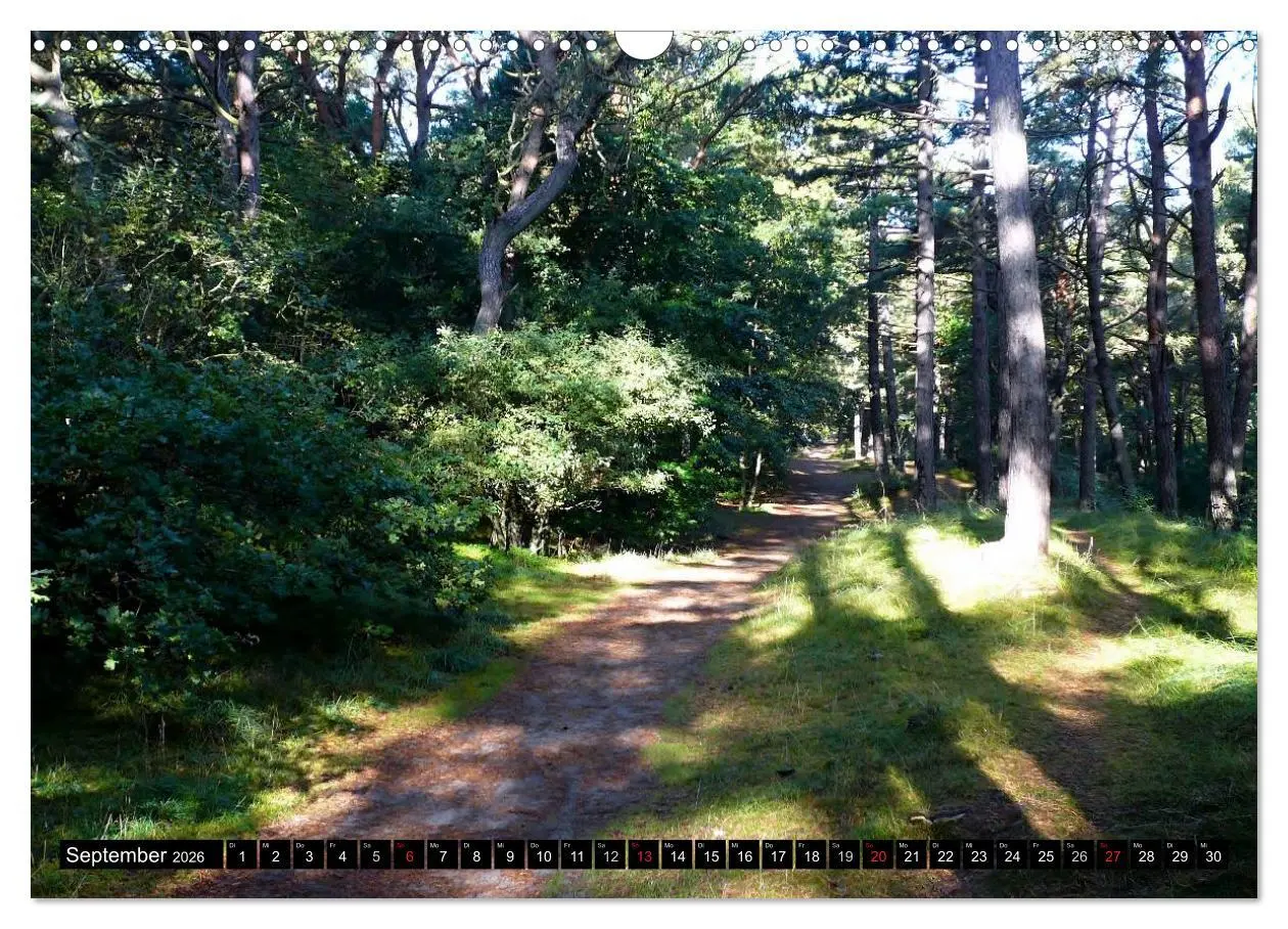 Bild: 9783516099973 | USEDOM - Seebäder und Naturparadies (Wandkalender 2026 DIN A3...