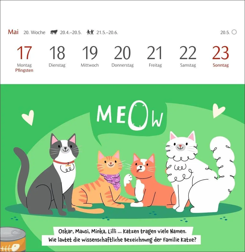 Bild: 9783840039973 | Unnützes-Wissen-Quiz Katzen Premium-Postkartenkalender 2027 -...