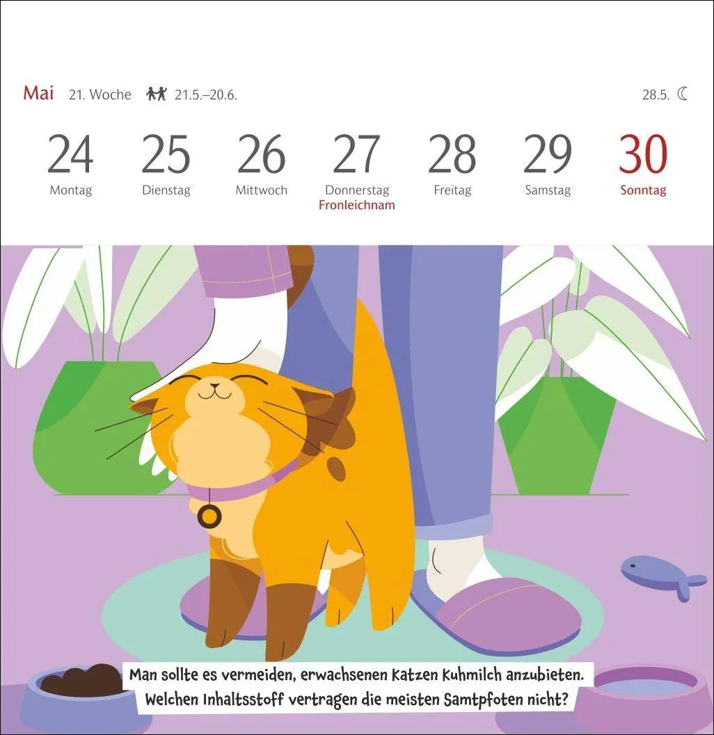 Bild: 9783840039973 | Unnützes-Wissen-Quiz Katzen Premium-Postkartenkalender 2027 -...