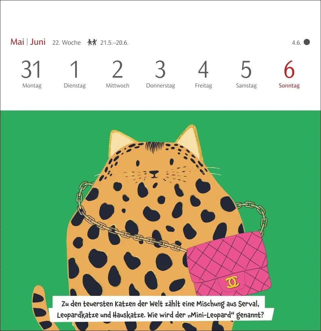 Bild: 9783840039973 | Unnützes-Wissen-Quiz Katzen Premium-Postkartenkalender 2027 -...