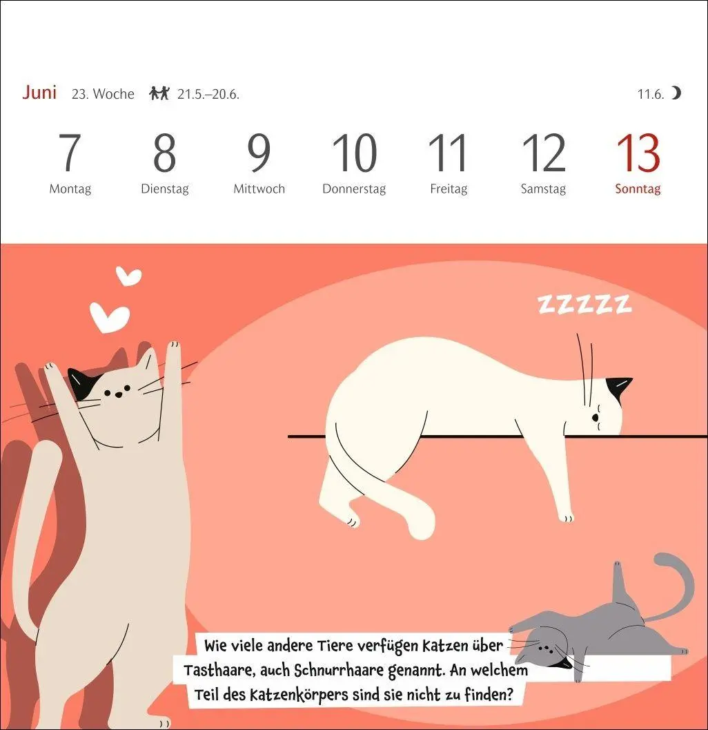 Bild: 9783840039973 | Unnützes-Wissen-Quiz Katzen Premium-Postkartenkalender 2027 -...
