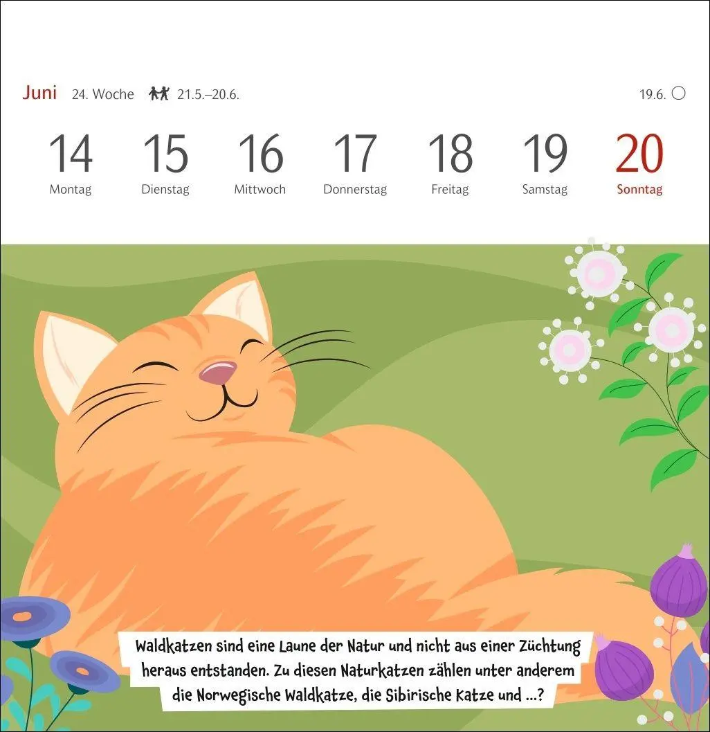 Bild: 9783840039973 | Unnützes-Wissen-Quiz Katzen Premium-Postkartenkalender 2027 -...