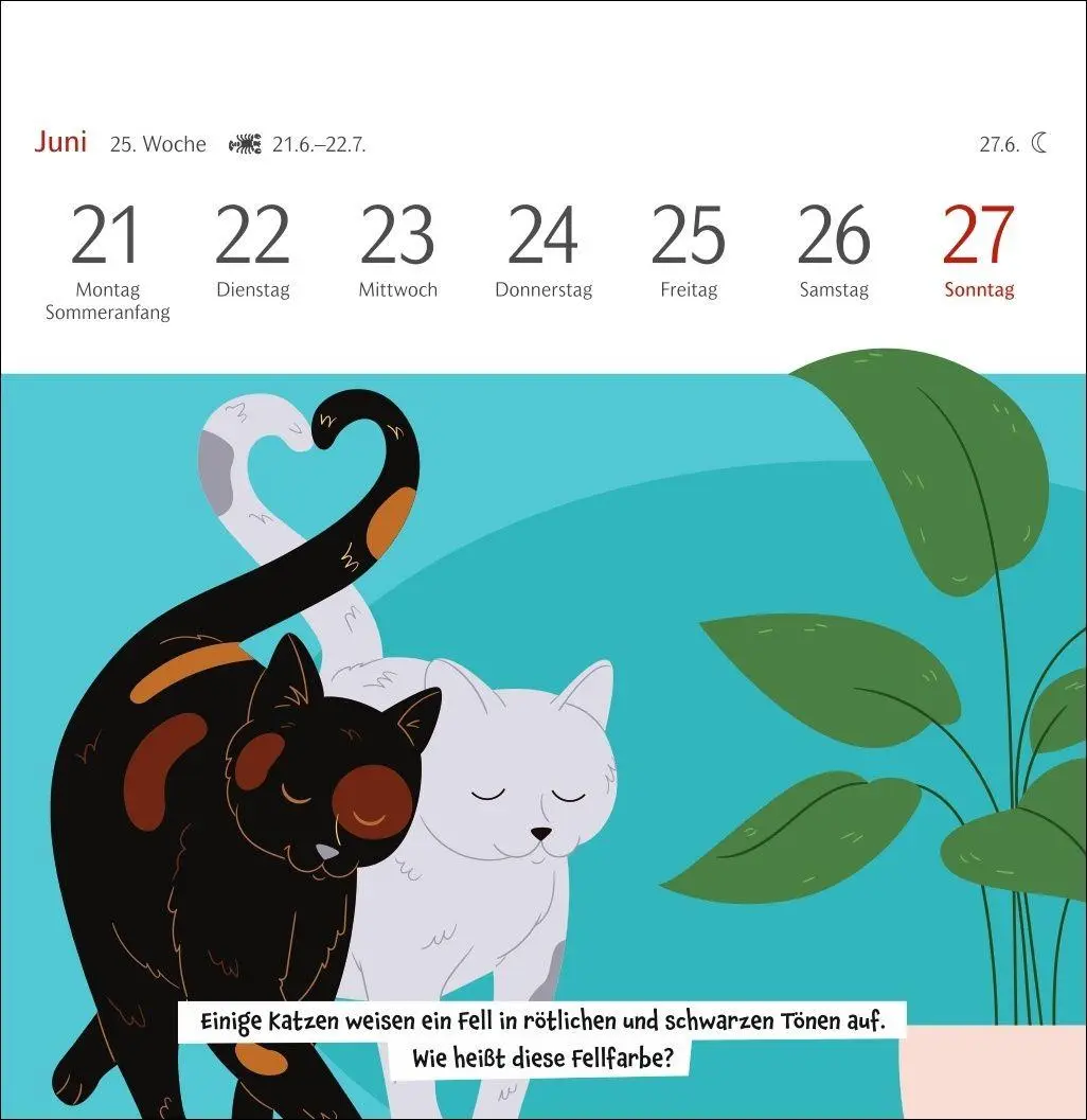 Bild: 9783840039973 | Unnützes-Wissen-Quiz Katzen Premium-Postkartenkalender 2027 -...