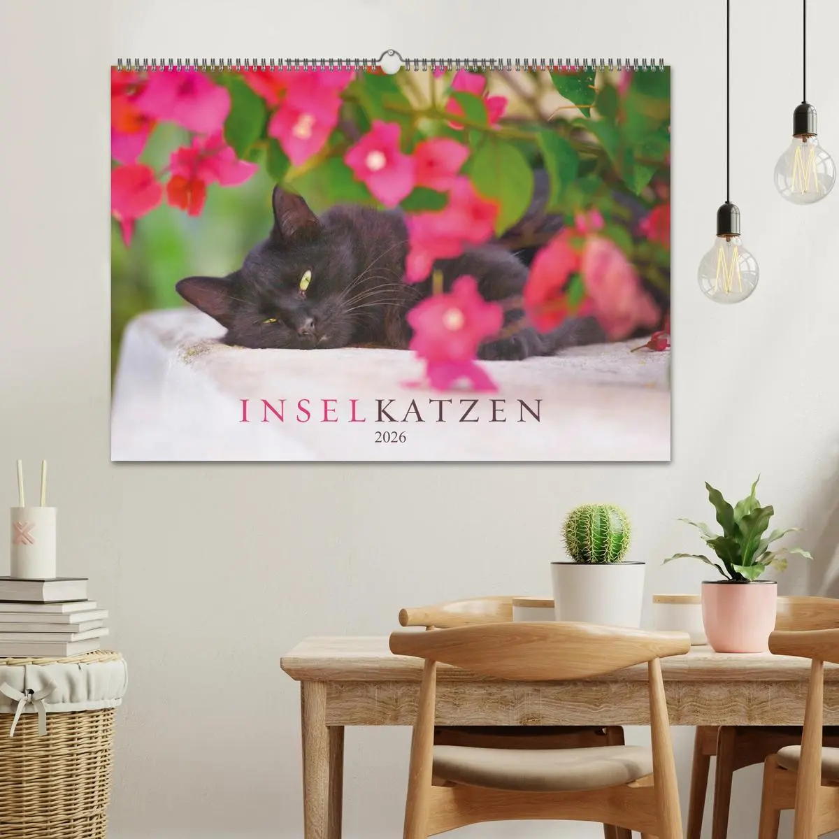 Bild: 9783457570074 | Inselkatzen (Wandkalender 2026 DIN A2 quer), CALVENDO Monatskalender
