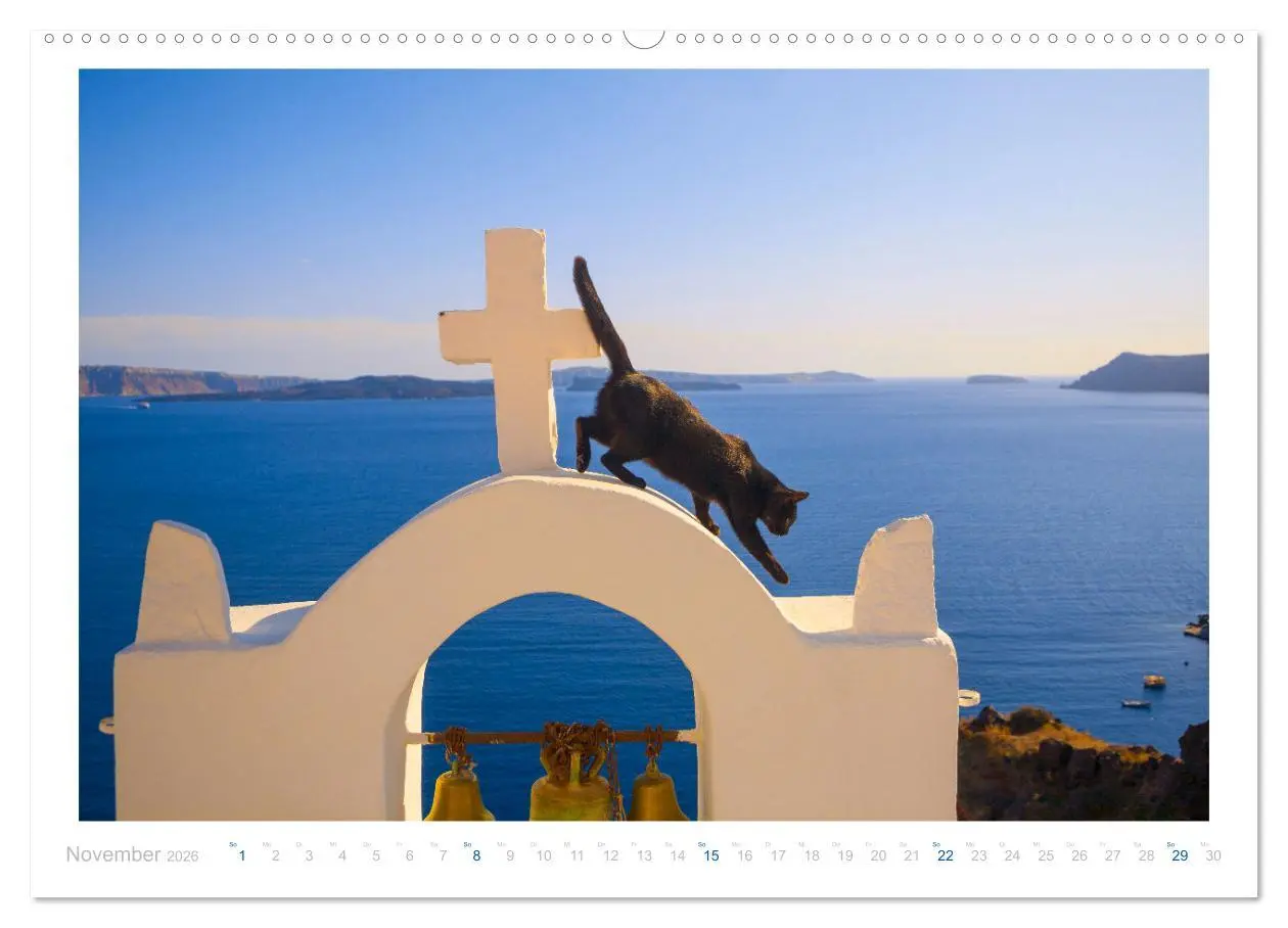 Bild: 9783457570074 | Inselkatzen (Wandkalender 2026 DIN A2 quer), CALVENDO Monatskalender
