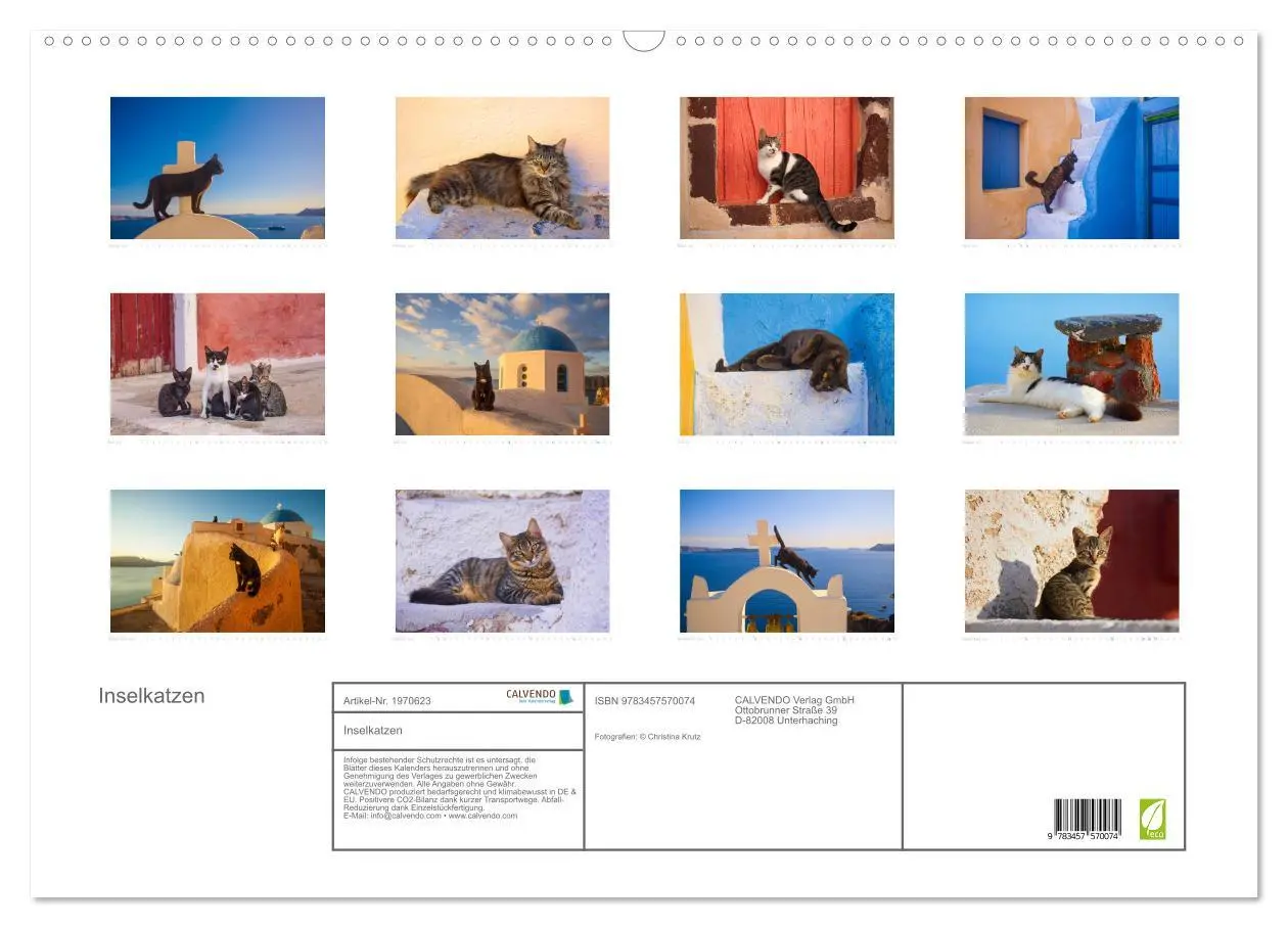 Bild: 9783457570074 | Inselkatzen (Wandkalender 2026 DIN A2 quer), CALVENDO Monatskalender