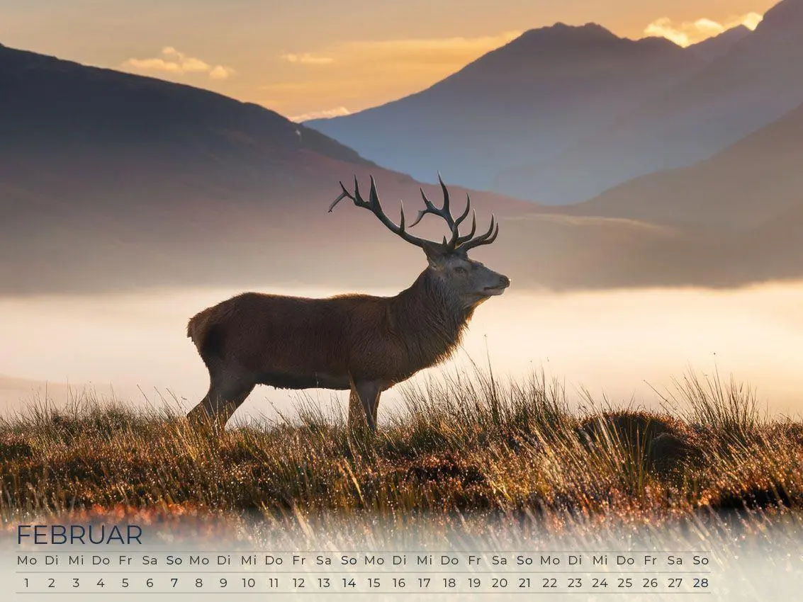 Bild: 9783693570074 | Faszination Schottland Kalender 2027 | Susanne Pommer (u. a.) | 2027