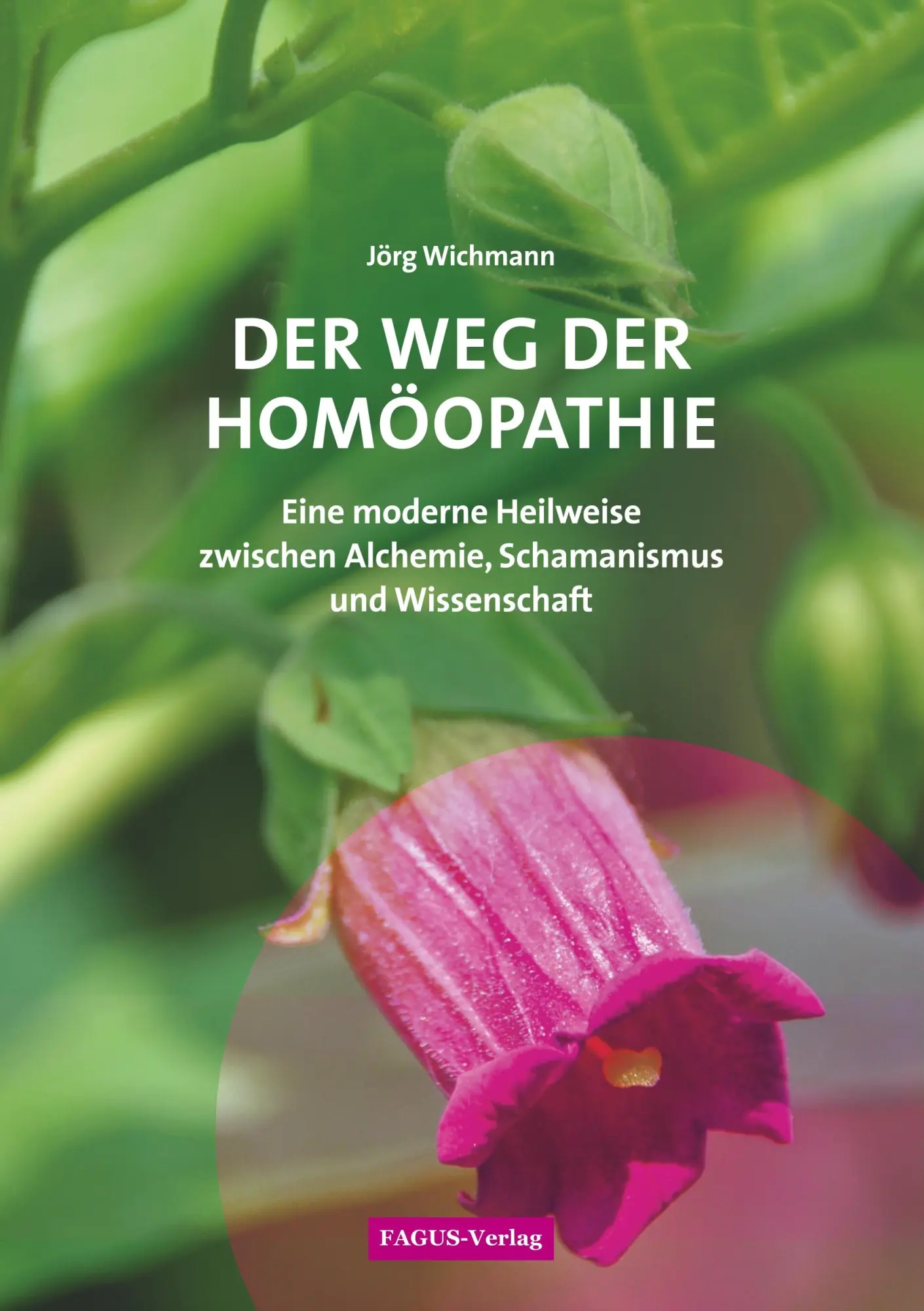 Cover: 9783933760074 | Der Weg der Homöopathie | Jörg Wichmann | Taschenbuch | 204 S. | 2019