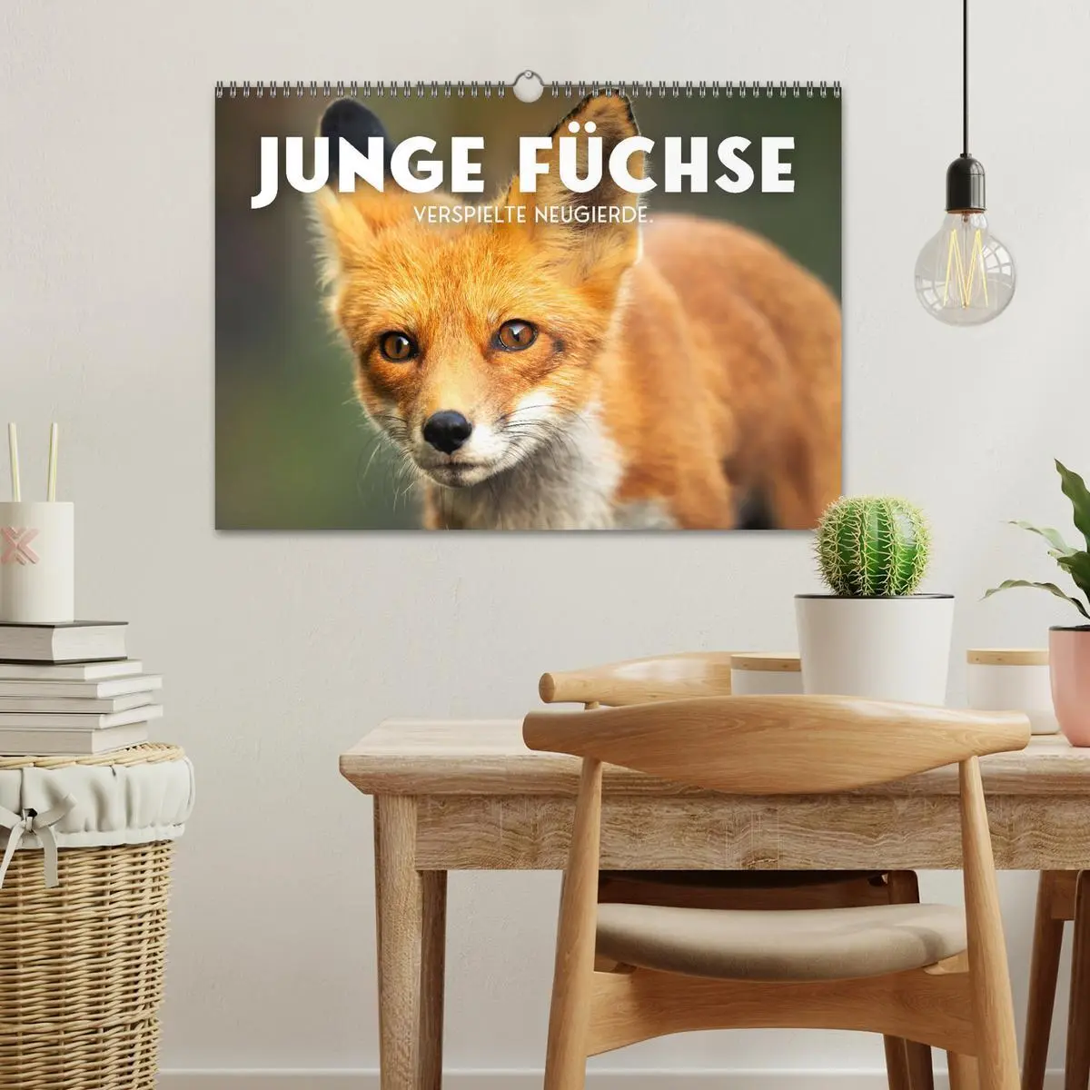 Bild: 9783457560174 | Junge Füchse - Verspielte Neugierde. (Wandkalender 2026 DIN A3...