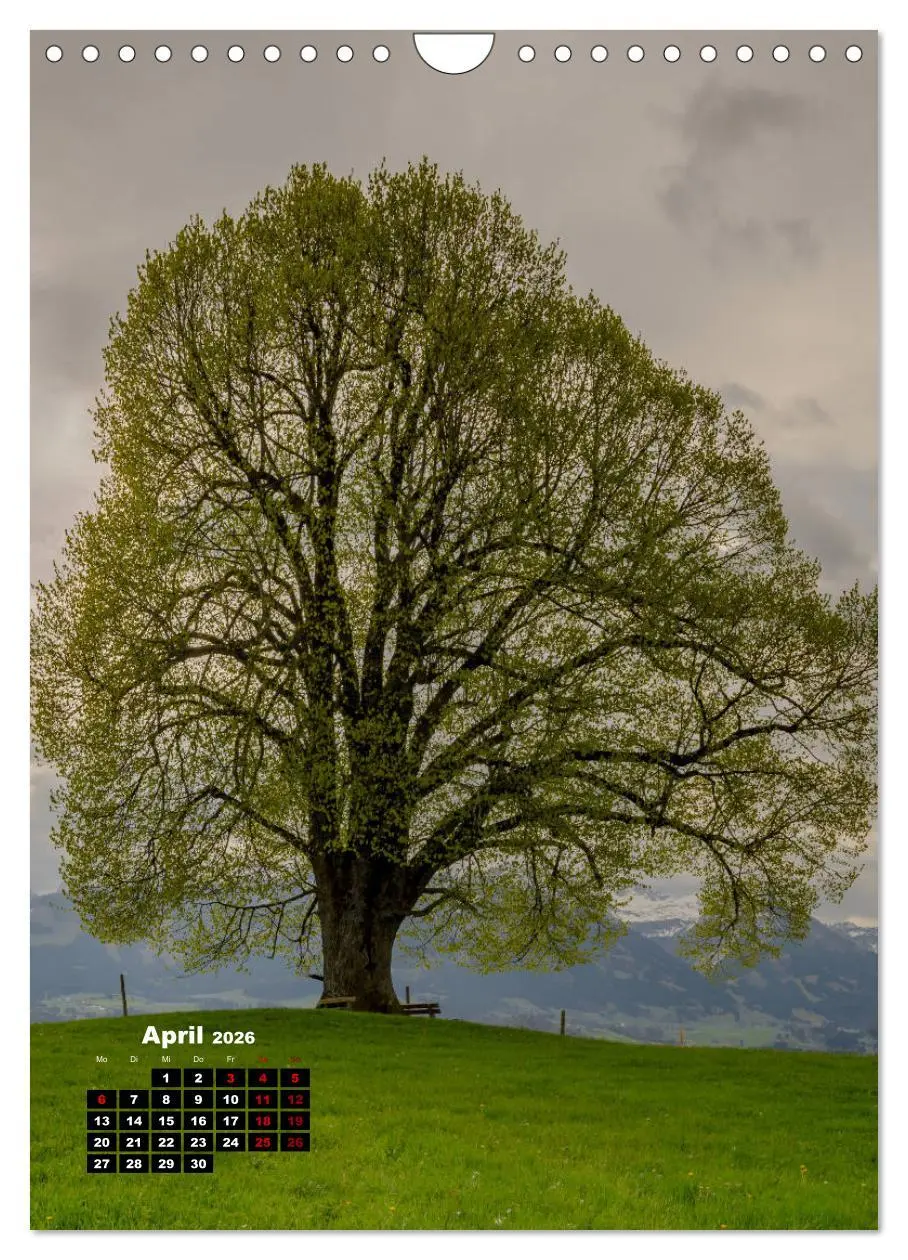 Bild: 9783516410174 | Leichte Wanderziele um Oberstdorf (Wandkalender 2026 DIN A4 hoch),...