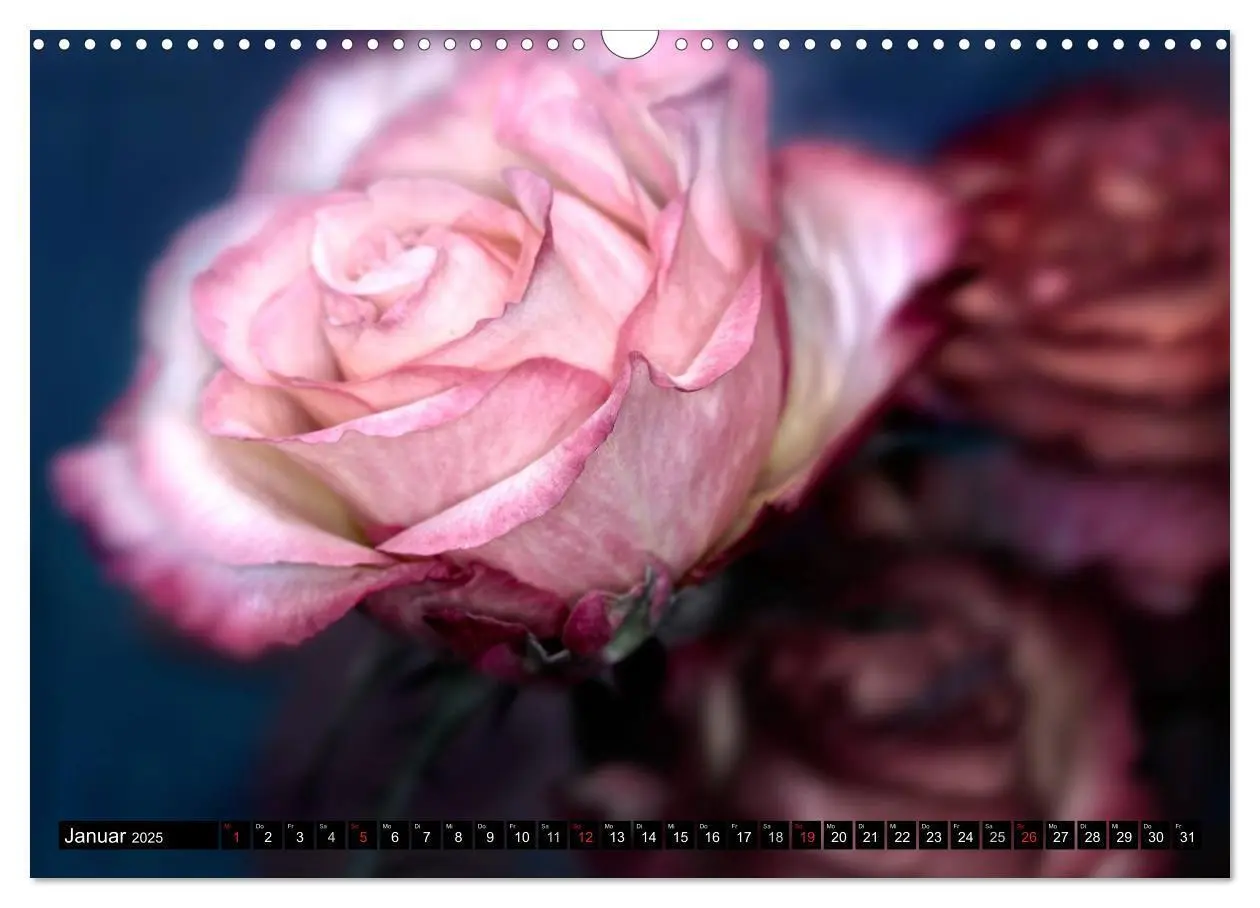 Bild: 9783435770274 | Flowers / 2025 (Wandkalender 2025 DIN A3 quer), CALVENDO...