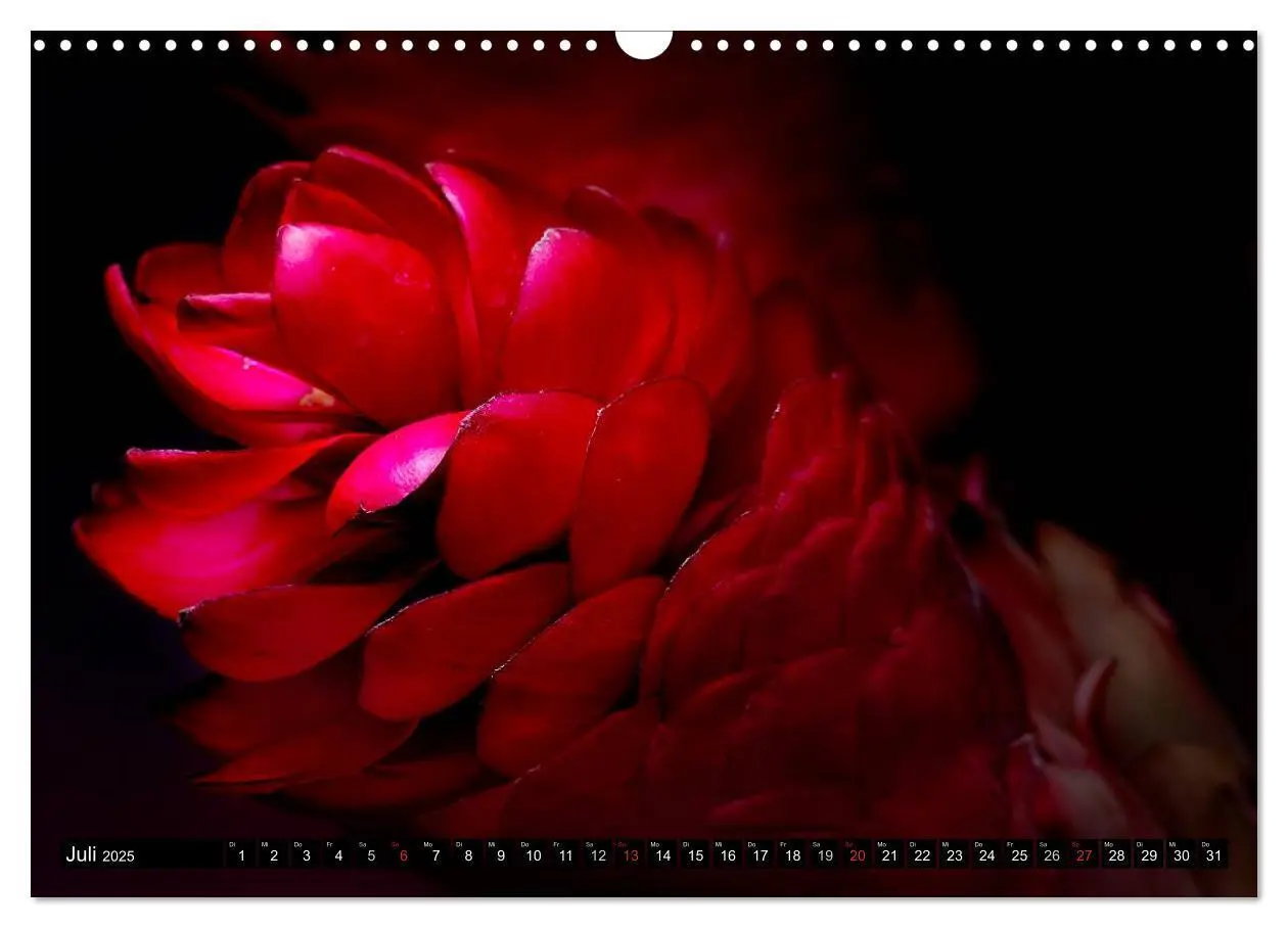 Bild: 9783435770274 | Flowers / 2025 (Wandkalender 2025 DIN A3 quer), CALVENDO...