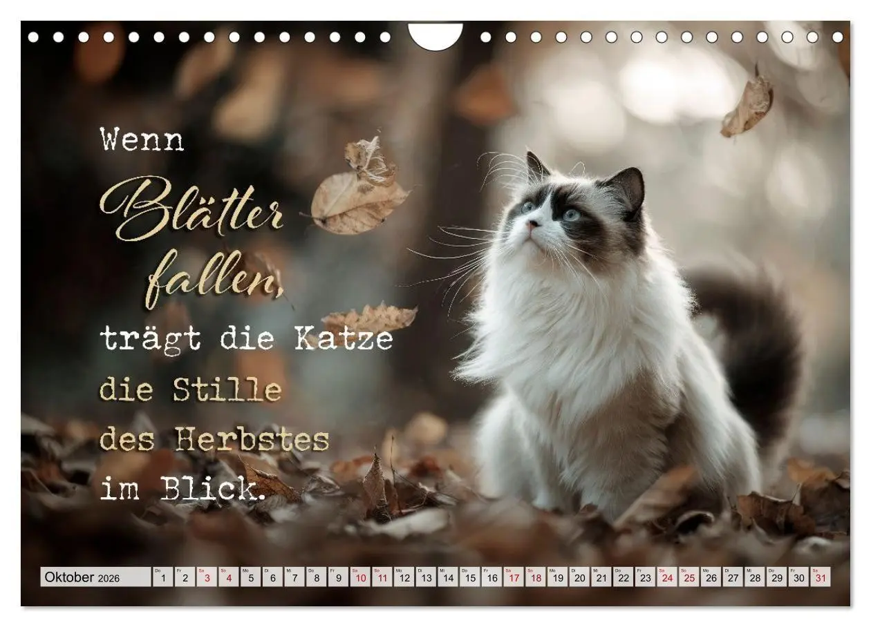 Bild: 9783516710274 | Katzenpoesie - Herzberührende Verse (Wandkalender 2026 DIN A4...