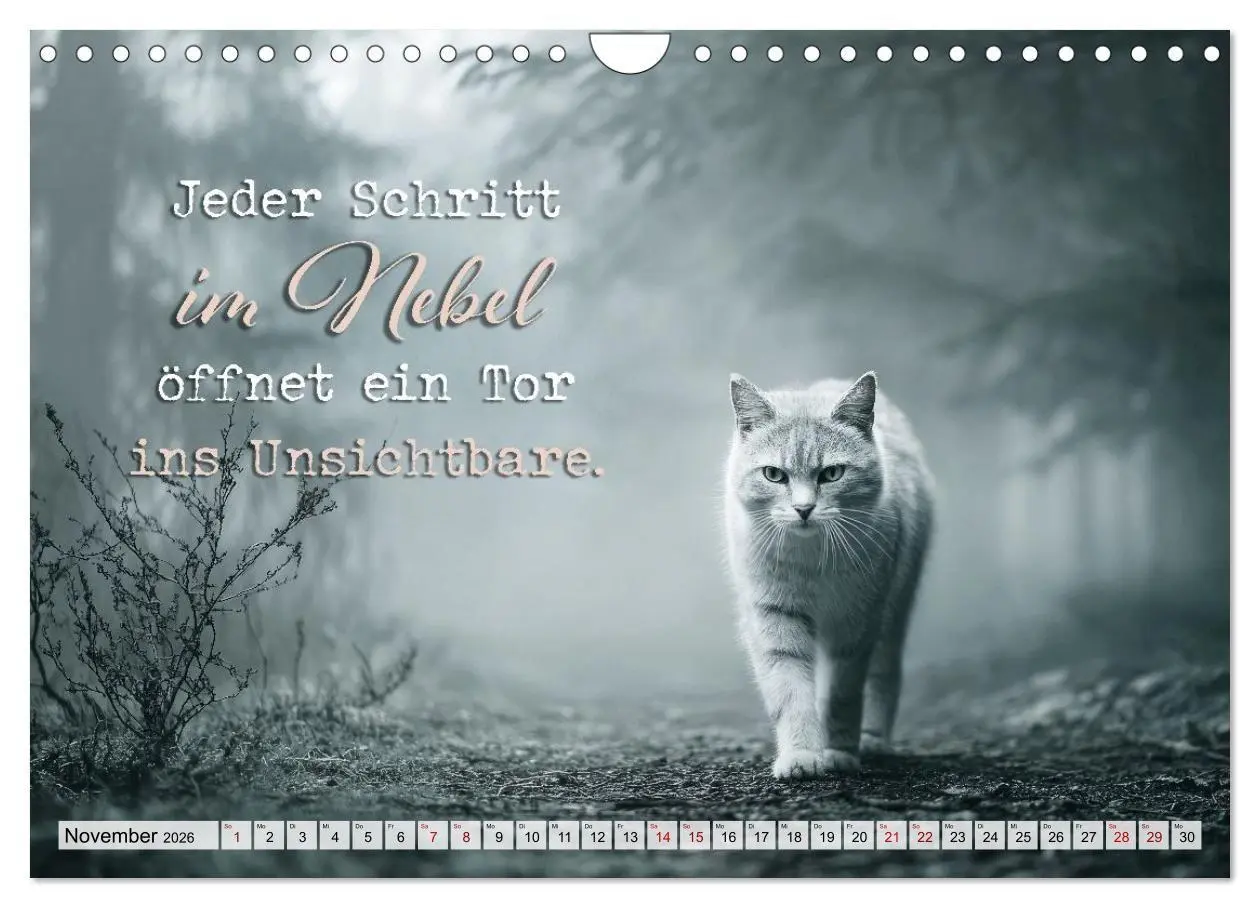 Bild: 9783516710274 | Katzenpoesie - Herzberührende Verse (Wandkalender 2026 DIN A4...