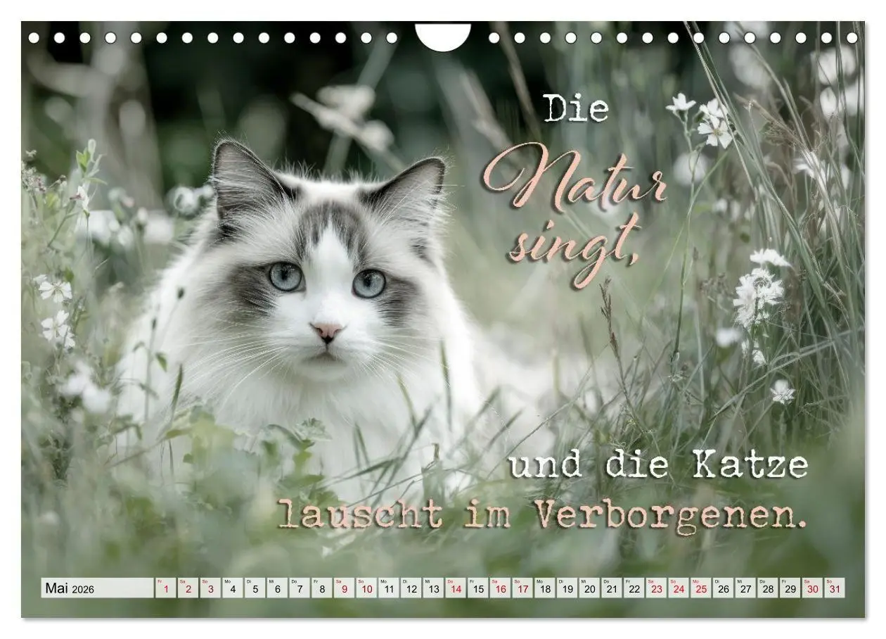 Bild: 9783516710274 | Katzenpoesie - Herzberührende Verse (Wandkalender 2026 DIN A4...