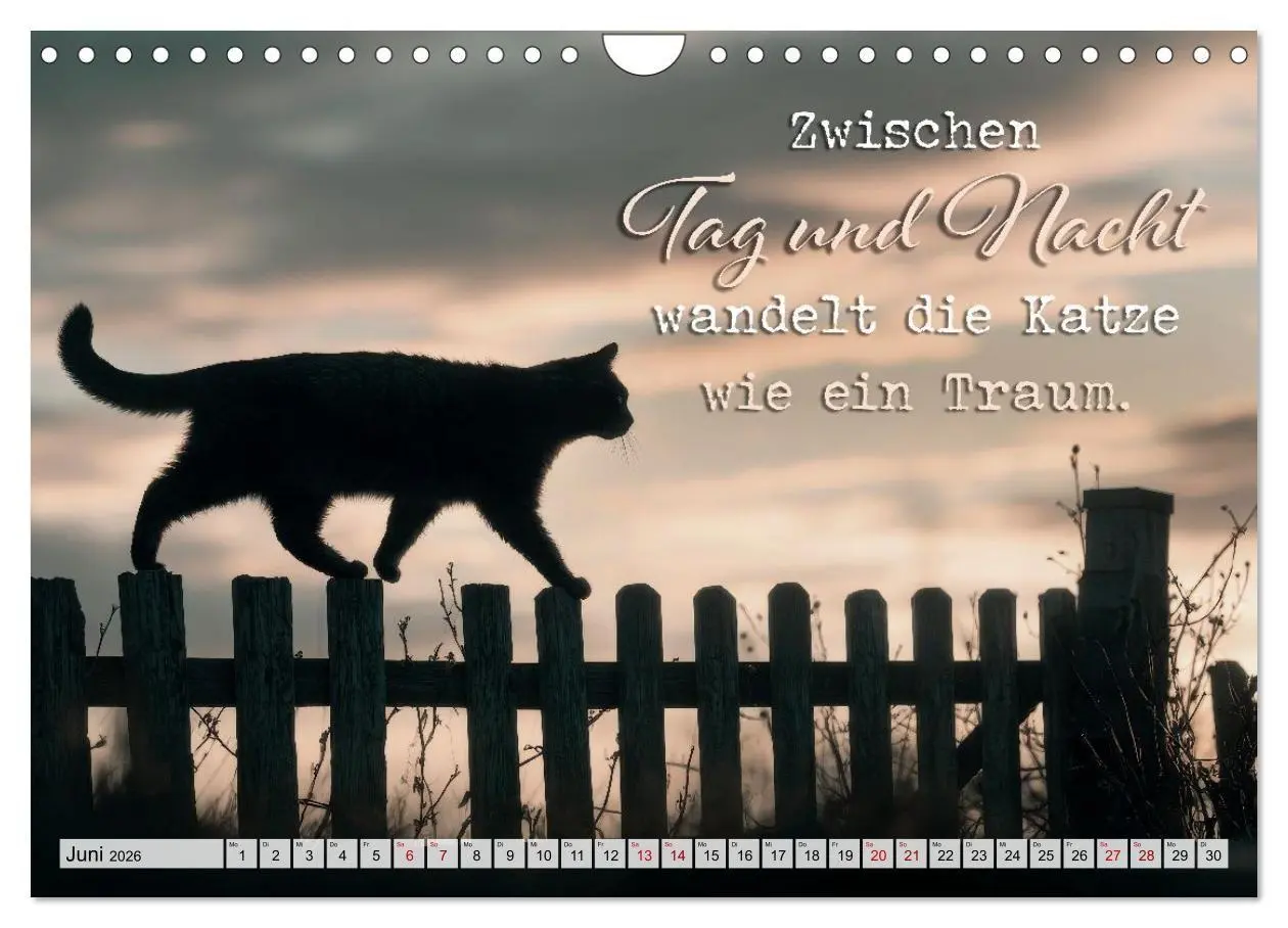 Bild: 9783516710274 | Katzenpoesie - Herzberührende Verse (Wandkalender 2026 DIN A4...