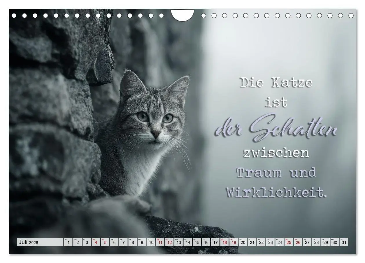 Bild: 9783516710274 | Katzenpoesie - Herzberührende Verse (Wandkalender 2026 DIN A4...