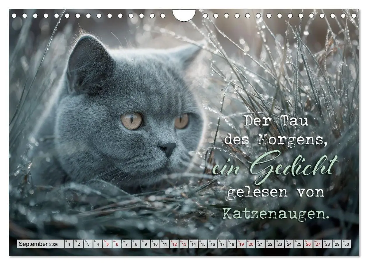 Bild: 9783516710274 | Katzenpoesie - Herzberührende Verse (Wandkalender 2026 DIN A4...