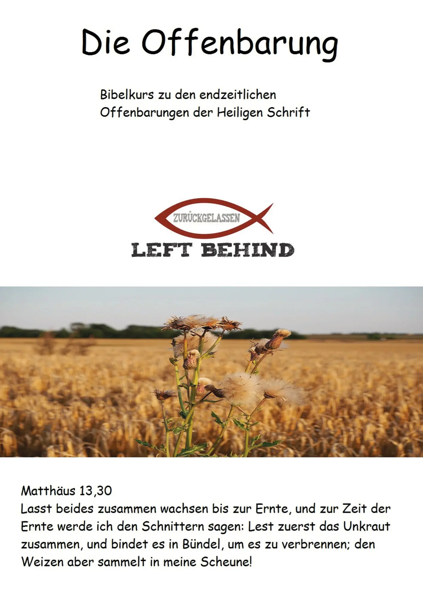 Cover: 9789463180474 | Bibelkurs zu den endzeitlichen biblischen Offenbarungen | Bernd Wessel