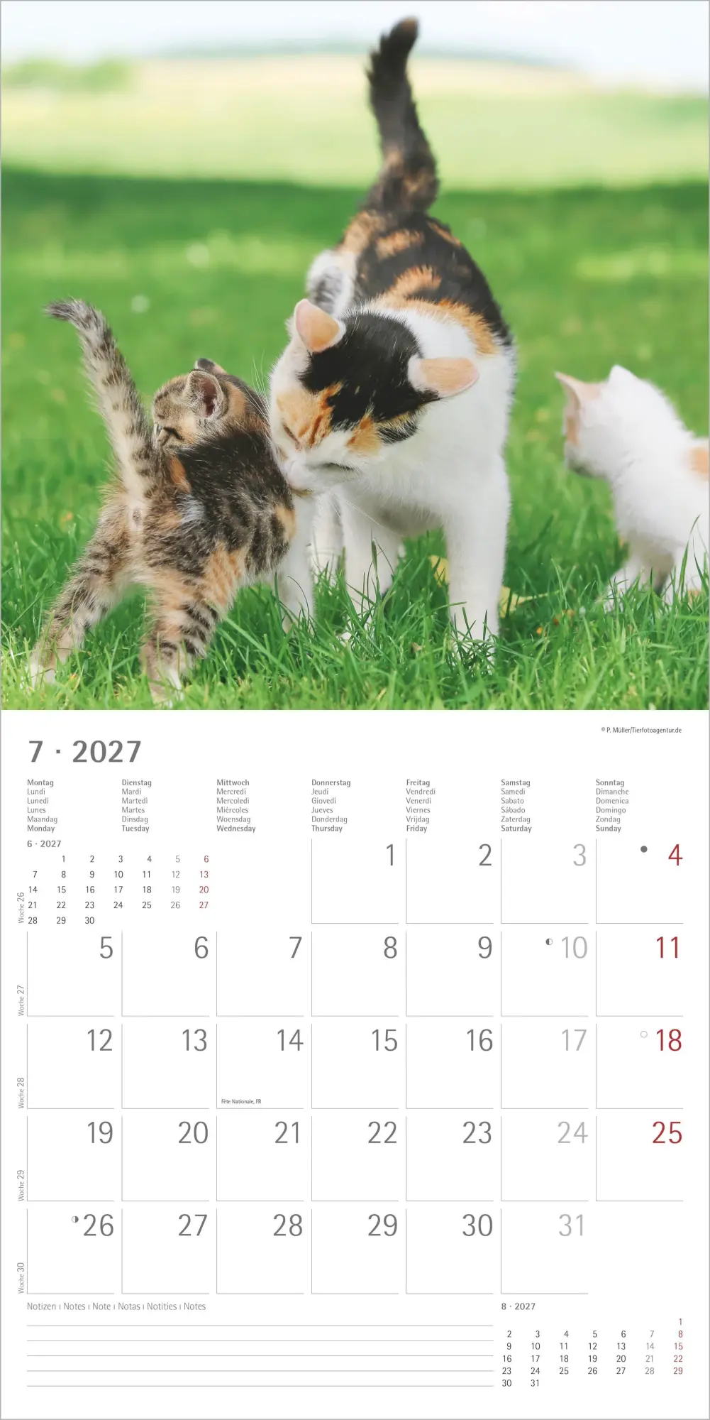 Bild: 4069095010574 | Samtpfötchen 2027 | Neumann Verlage GmbH &amp; Co KG | Kalender | 14 S.