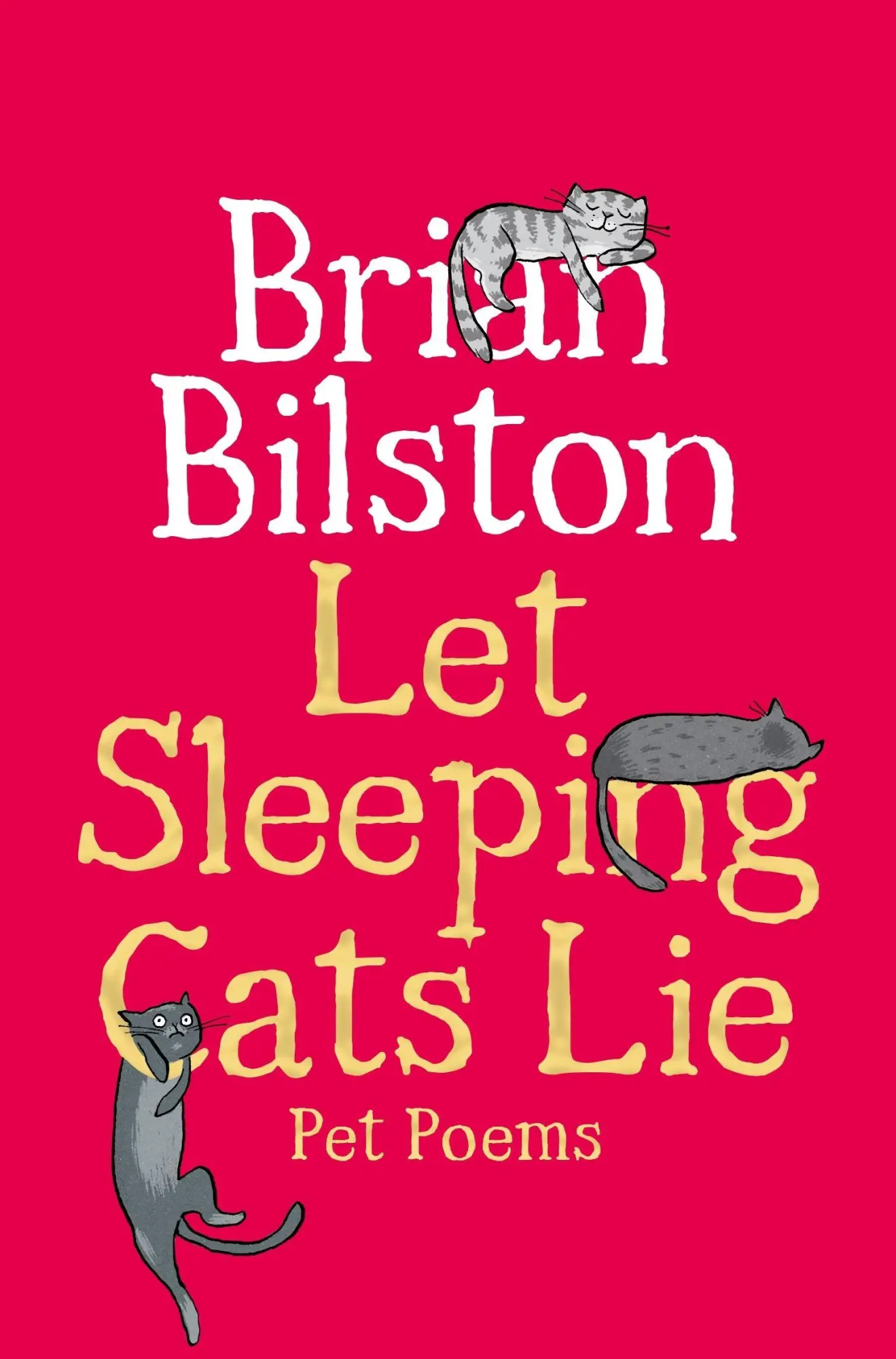 Cover: 9781035050574 | Let Sleeping Cats Lie - Pet Poems | Brian Bilston | Taschenbuch | 2026