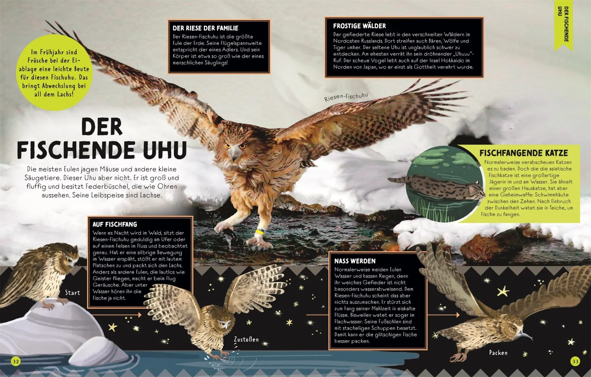 Bild: 9783831050574 | Seltsame Tiere, die es wirklich gibt | Ben Hoare | Buch | 80 S. | 2025