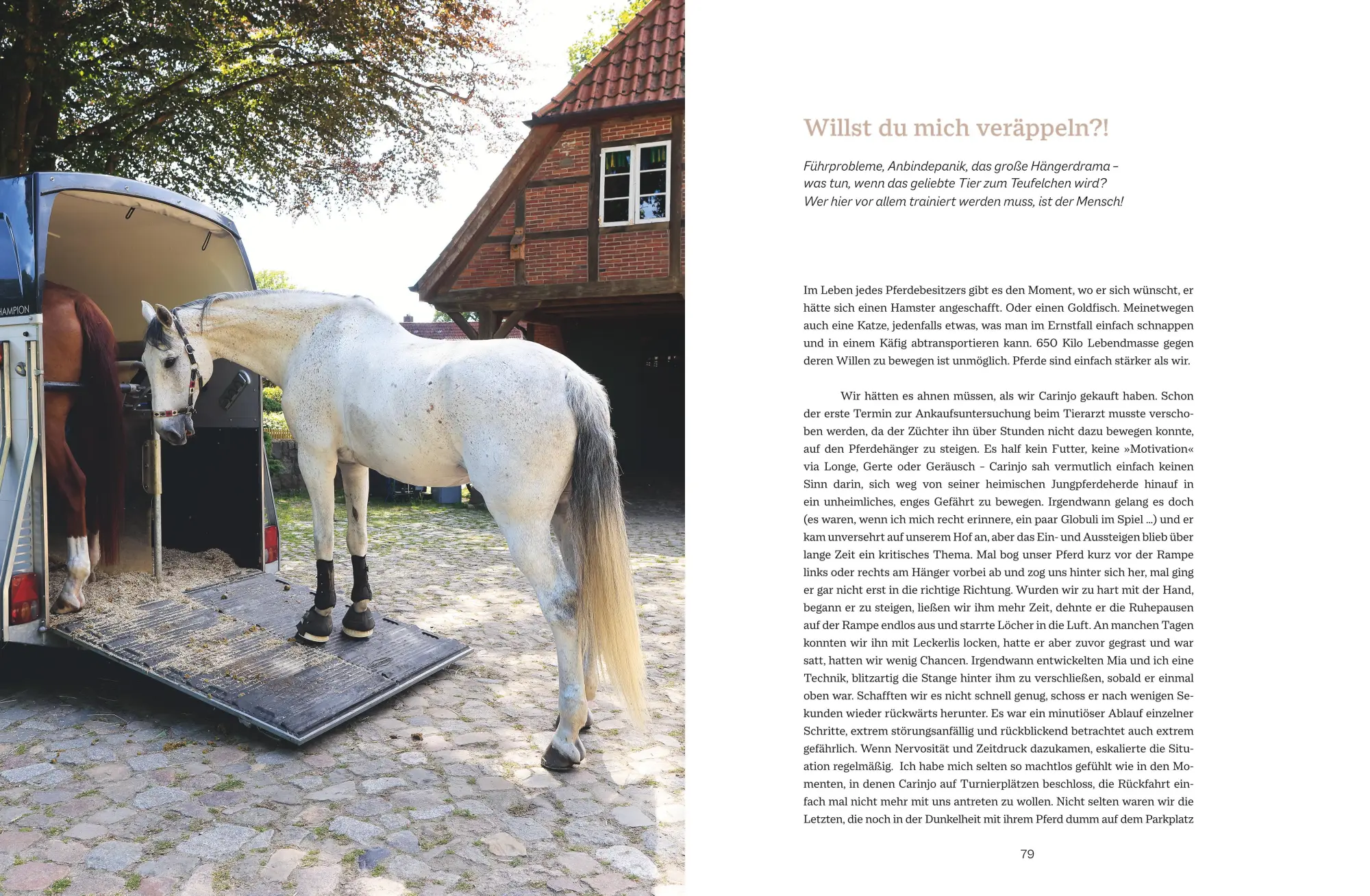 Bild: 9783967470574 | Wie wir bessere Pferdemenschen werden | Nico Lee Gogol | Buch | 256 S.