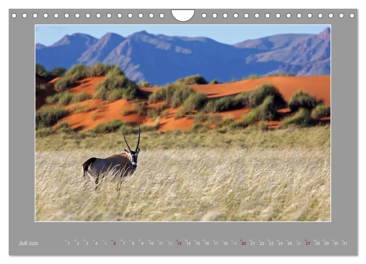 Bild: 9783435730674 | Namibia - Die Farben der Namib (Wandkalender 2025 DIN A4 quer),...