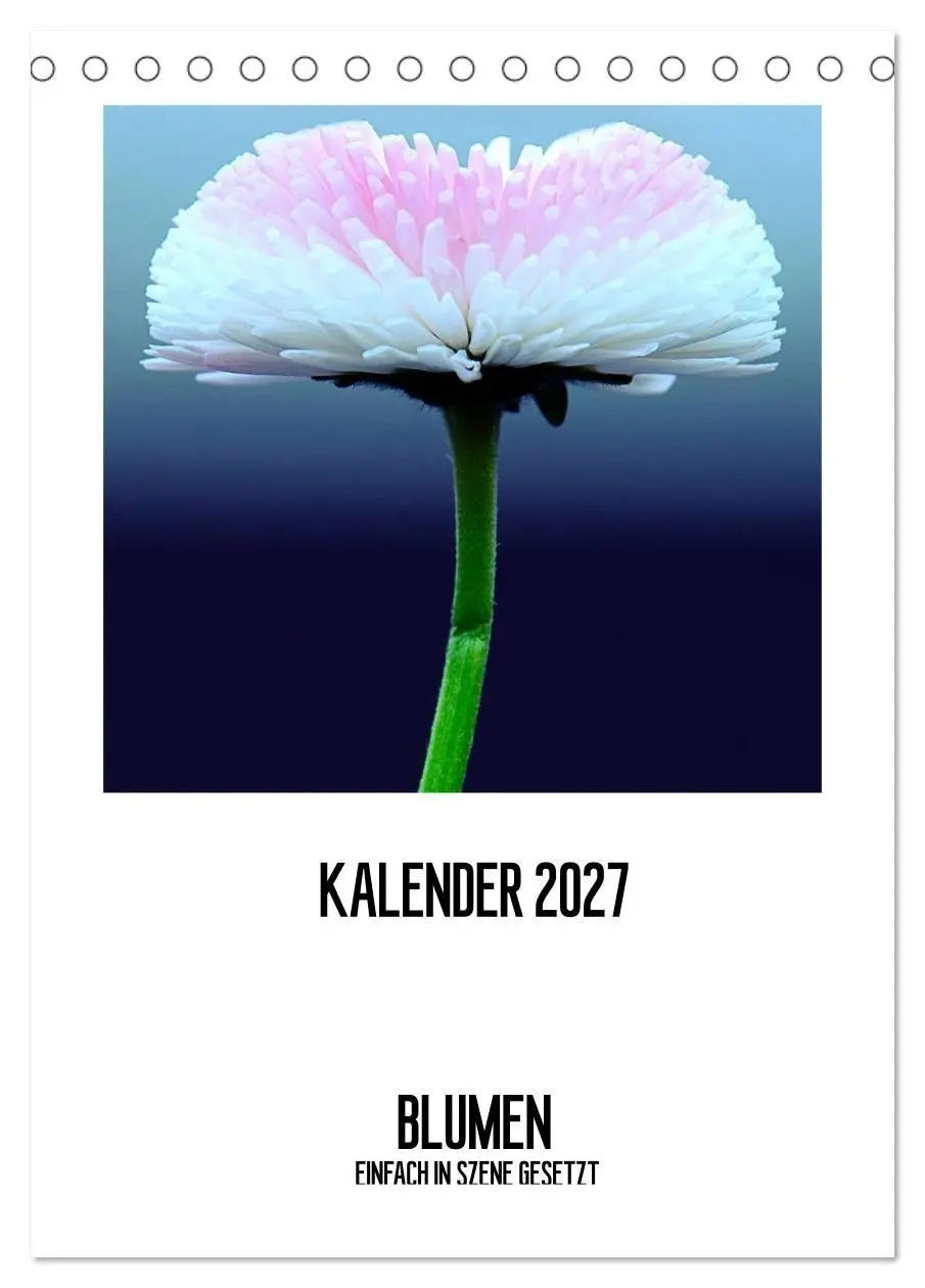 BLUMEN EINFACH IN SZENE GESETZT (Tischkalender 2027 DIN A5 hoch), CALVENDO Monatskalender