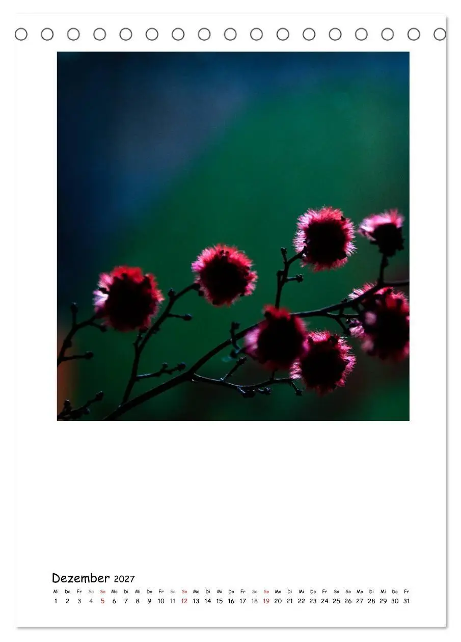 Bild: 9783594200674 | BLUMEN EINFACH IN SZENE GESETZT (Tischkalender 2027 DIN A5 hoch),...