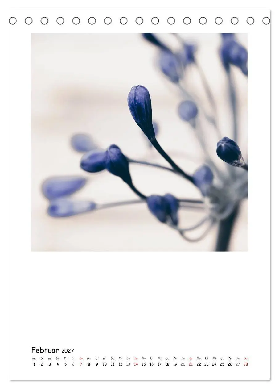 Bild: 9783594200674 | BLUMEN EINFACH IN SZENE GESETZT (Tischkalender 2027 DIN A5 hoch),...
